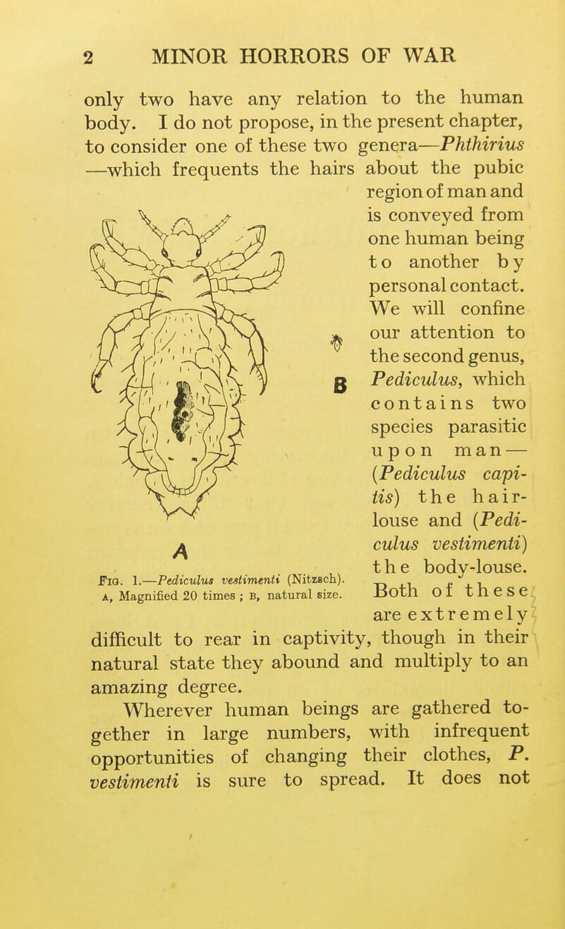 B only two have any relation to the human body. I do not propose, in the present chapter, to consider one of these two genera—Phthirius —^which frequents the hairs about the pubic region of man and is conveyed from one human being t o another b y personal contact. We will confine our attention to the second genus, Pediculus, which contains two species parasitic upon man — {Pediculus capi- tis) the h a i r- louse and {Pedi- culus vestimenti) the body-louse. Both of these are extremely difficult to rear in captivity, though in their natural state they abound and multiply to an amazing degree. Wherever human beings are gathered to- gether in large numbers, with infrequent opportunities of changing their clothes, P. vestimenti is sure to spread. It does not Fia. 1.—Pediculus vestimenti (Nitzsch). A, Magnified 20 times ; b, natural size.