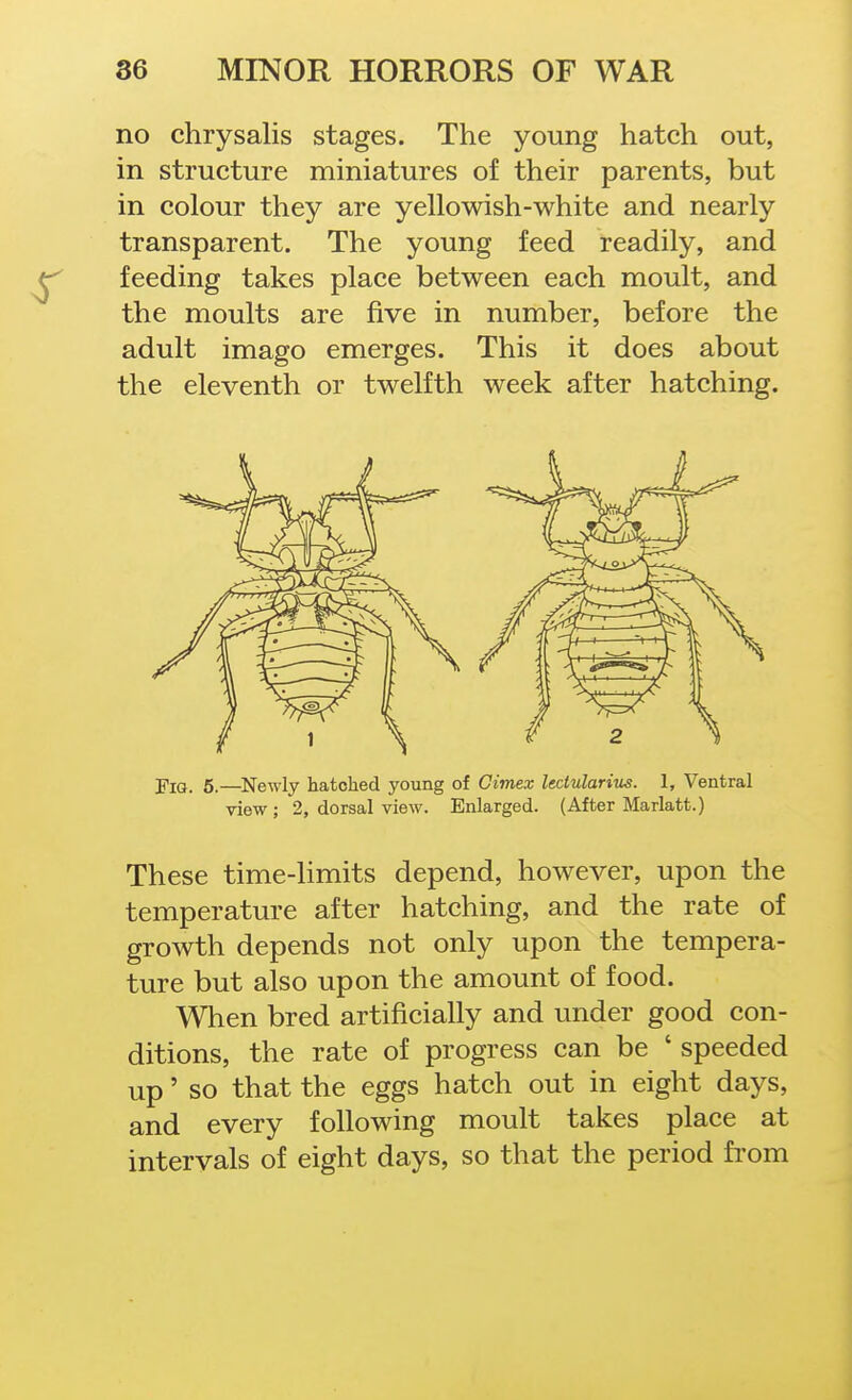 no chrysalis stages. The young hatch out, in structure miniatures of their parents, but in colour they are yellowish-white and nearly transparent. The young feed readily, and feeding takes place between each moult, and the moults are five in number, before the adult imago emerges. This it does about the eleventh or twelfth week after hatching. FiQ. 5.—Newly hatched young of Cimex lectularitus. 1, Ventral view ; 2, dorsal view. Enlarged. (After Marlatt.) These time-limits depend, however, upon the temperature after hatching, and the rate of growth depends not only upon the tempera- ture but also upon the amount of food. When bred artificially and under good con- ditions, the rate of progress can be ' speeded up' so that the eggs hatch out in eight days, and every following moult takes place at intervals of eight days, so that the period fi'om