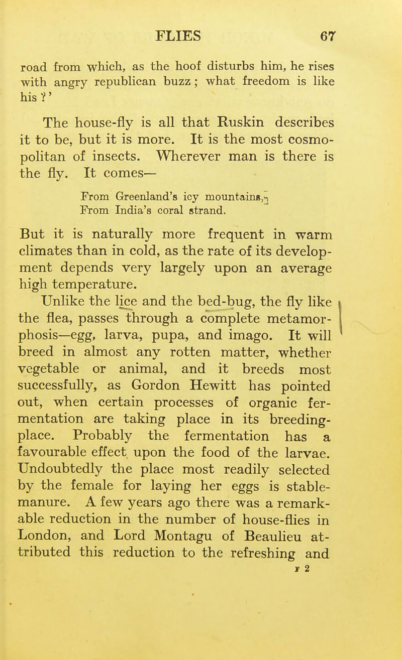 road from which, as the hoof disturbs him, he rises with angry repubHcan buzz; what freedom is like his ?' The house-fly is all that Ruskin describes it to be, but it is more. It is the most cosmo- politan of insects. Wherever man is there is the fly. It comes— From Greenland's icy mountaina,-] From India's coral strand. But it is naturally more frequent in warm climates than in cold, as the rate of its develop- ment depends very largely upon an average high temperature. Unlike the lice and the bed-bug, the fly like the flea, passes through a complete metamor- phosis—egg, larva, pupa, and imago. It will breed in almost any rotten matter, whether vegetable or animal, and it breeds most successfully, as Gordon Hewitt has pointed out, when certain processes of organic fer- mentation are taking place in its breeding- place. Probably the fermentation has a favourable effect upon the food of the larvae. Undoubtedly the place most readily selected by the female for laying her eggs is stable- manure. A few years ago there was a remark- able reduction in the number of house-flies in London, and Lord Montagu of Beaulieu at- tributed this reduction to the refreshing and V 2