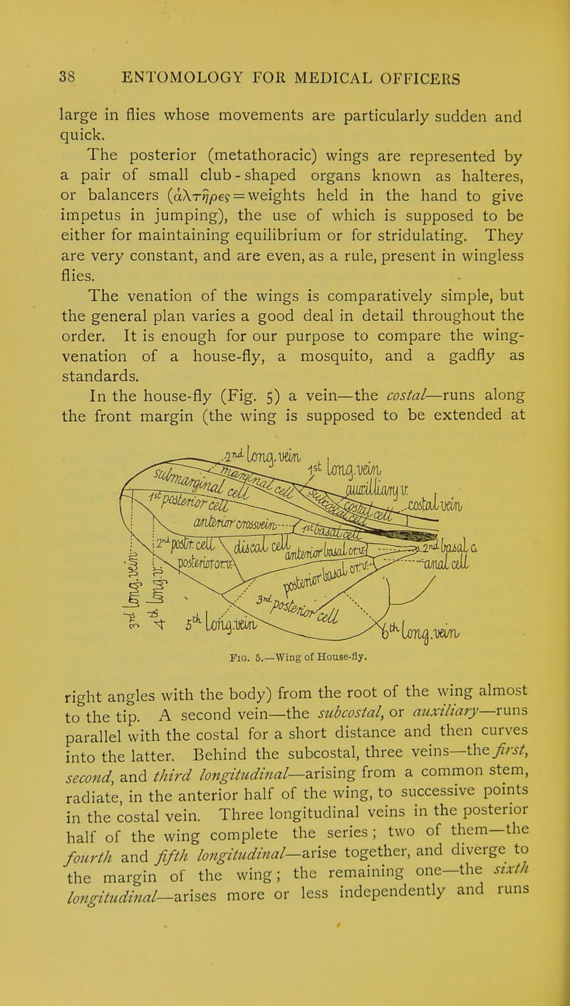 large in flies whose movements are particularly sudden and quick. The posterior (metathoracic) wings are represented by a pair of small club-shaped organs known as halteres, or balancers (aXrrjpes = weights held in the hand to give impetus in jumping), the use of which is supposed to be either for maintaining equilibrium or for stridulating. They are very constant, and are even, as a rule, present in wingless flies. The venation of the wings is comparatively simple, but the general plan varies a good deal in detail throughout the order. It is enough for our purpose to compare the wing- venation of a house-fly, a mosquito, and a gadfly as standards. In the house-fly (Fig. 5) a vein—the costal—runs along the front margin (the wing is supposed to be extended at Fig. 5.—Wing of House-fly. right angles with the body) from the root of the wing almost to the tip. A second vein—the subcostal, or auxiliary—runs parallel with the costal for a short distance and then curves into the latter. Behind the subcostal, three veins the first, second, and third longitudinal—-arising from a common stem, radiate, in the anterior half of the wing, to successive points in the costal vein. Three longitudinal veins in the posterior half of the wing complete the series ; two of them—the fourth and fifth longitudinal—arise together, and diverge to the margin of the wing; the remaining one—the sixth longitudinal-arises more or less independently and runs