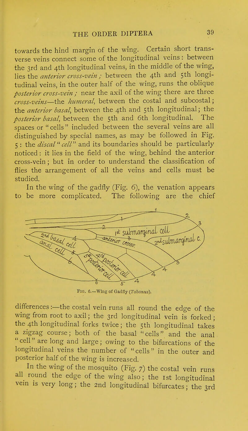 towards the hind margin of the wing. Certain short trans- verse veins connect some of the longitudinal veins: between the 3rd and 4th longitudinal veins, in the middle of the wing, lies the anterior cross-vein; between the 4th and 5th longi- tudinal veins, in the outer half of the wing, runs the oblique posterior cross-vein ; near the axil of the wing there are three cross-veins—the humeral, between the costal and subcostal; the anterior basal, between the 4th and 5th longitudinal; the posterior basal, between the 5th and 6th longitudinal. The spaces or  cells included between the several veins are all distinguished by special names, as may be followed in Fig. 5 : the discal cell and its boundaries should be particularly noticed: it lies in the field of the wing, behind the anterior cross-vein; but in order to understand the classification of flies the arrangement of all the veins and cells must be studied. In the wing of the gadfly (Fig. 6), the venation appears to be more complicated. The following are the chief 1 Fia. 6—Wing of Gadfly (Tcibanus). differences:—the costal vein runs all round the edge of the wing from root to axil; the 3rd longitudinal vein is forked; the 4th longitudinal forks twice; the 5th longitudinal takes a zigzag course; both of the basal cells and the anal  cell are long and large; owing to the bifurcations of the longitudinal veins the number of cells in the outer and posterior half of the wing is increased. In the wing of the mosquito (Fig. 7) the costal vein runs all round the edge of the wing also; the 1st longitudinal vein is very long; the 2nd longitudinal bifurcates; the 3rd