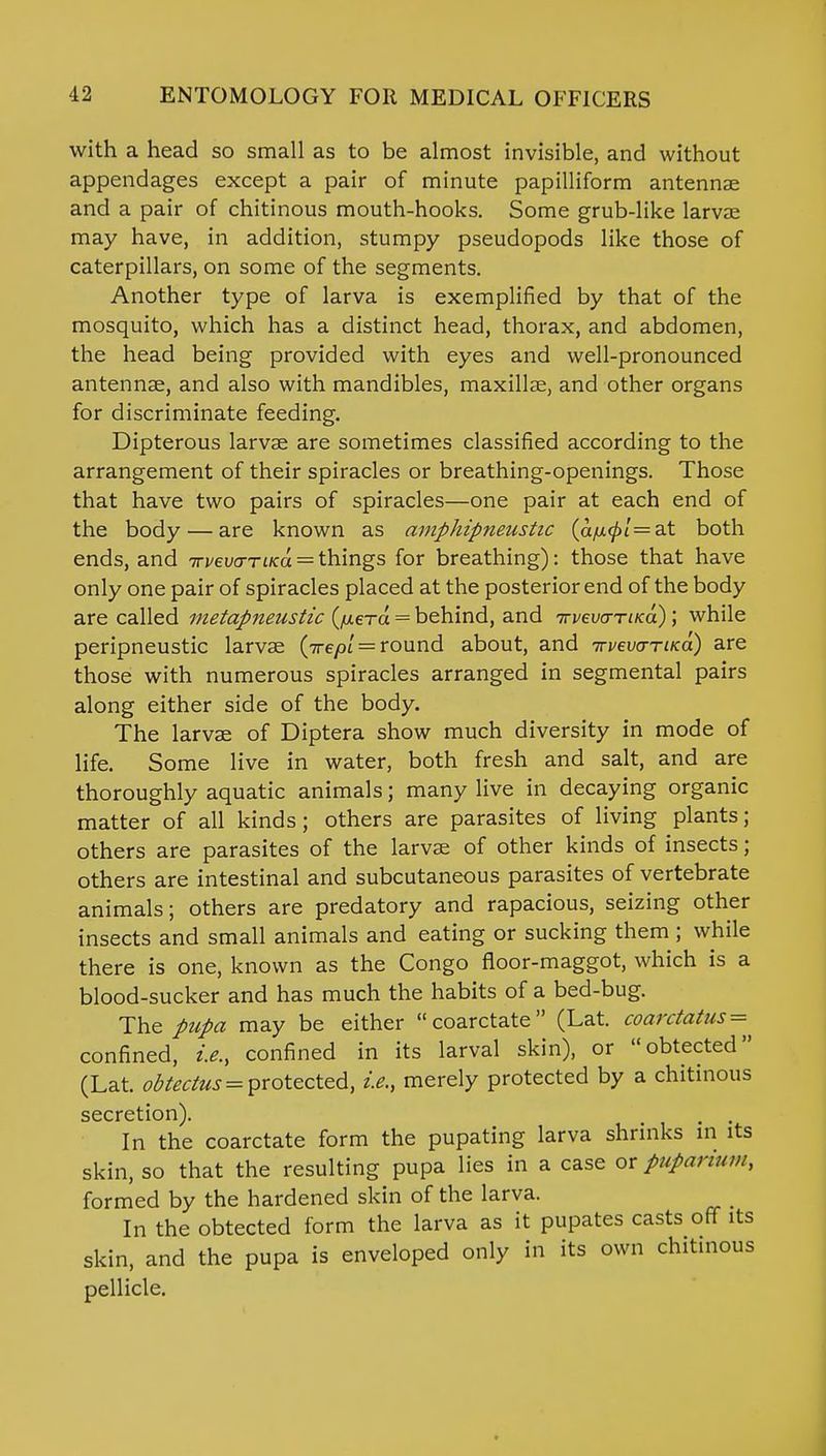 with a head so small as to be almost invisible, and without appendages except a pair of minute papilliform antennae and a pair of chitinous mouth-hooks. Some grub-like larvae may have, in addition, stumpy pseudopods like those of caterpillars, on some of the segments. Another type of larva is exemplified by that of the mosquito, which has a distinct head, thorax, and abdomen, the head being provided with eyes and well-pronounced antennae, and also with mandibles, maxillae, and other organs for discriminate feeding. Dipterous larvae are sometimes classified according to the arrangement of their spiracles or breathing-openings. Those that have two pairs of spiracles—one pair at each end of the body — are known as amphipneustic (a/>t0£ = at both ends, and irveva-riKa = things for breathing): those that have only one pair of spiracles placed at the posterior end of the body are called metapneustic (fxerd = behind, and irvevcmKa); while peripneustic larvae (irepl = round about, and irvevo-TiKa) are those with numerous spiracles arranged in segmental pairs along either side of the body. The larvae of Diptera show much diversity in mode of life. Some live in water, both fresh and salt, and are thoroughly aquatic animals; many live in decaying organic matter of all kinds; others are parasites of living plants; others are parasites of the larvae of other kinds of insects; others are intestinal and subcutaneous parasites of vertebrate animals; others are predatory and rapacious, seizing other insects and small animals and eating or sucking them; while there is one, known as the Congo floor-maggot, which is a blood-sucker and has much the habits of a bed-bug. The pupa may be either coarctate (Lat. coarctatus = confined, i.e., confined in its larval skin), or obtected (Lat. obtectus = protected, i.e., merely protected by a chitinous secretion). . . In the coarctate form the pupating larva shrinks in its skin, so that the resulting pupa lies in a case or puparium, formed by the hardened skin of the larva. In the obtected form the larva as it pupates casts off its skin, and the pupa is enveloped only in its own chitinous pellicle.