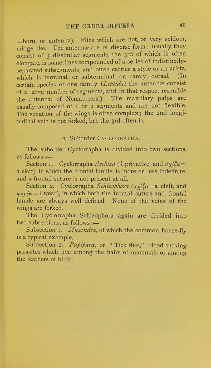 = horn, or antenna). Flies which are not, or very seldom, midge-like. The antennae are of diverse form : usually they consist of 3 dissimilar segments, the 3rd of which is often elongate, is sometimes compounded of a series of indistinctly- separated subsegments, and often carries a style or an arista, which is terminal, or subterminal, or, rarely, dorsal. (In certain species of one family (Leptidce) the antennae consist of a large number of segments, and in that respect resemble the antennae of Nematocera.) The maxillary palps are usually composed of 1 or 2 segments and are not flexible. The venation of the wings is often complex; the 2nd longi- tudinal vein is not forked, but the 3rd often is. 2. Suborder Cyclorrapha. The suborder Cyclorrapha is divided into two sections, as follows:— Section 1. Cyclorrapha Aschiza (a privative, and cr\it,a = a cleft), in which the frontal lunule is more or less indefinite, and a frontal suture is not present at all. Section 2. Cyclorrapha Schizophora (<xxtfa = a cleft, and <popm=l wear), in which both the frontal suture and frontal lunule are always well defined. None of the veins of the wings are forked. The Cyclorrapha Schizophora again are divided into two subsections, as follows :— Subsection 1. Muscoidea, of which the common house-fly is a typical example. Subsection 2. Pupipara, or  Tick-flies, blood-sucking parasites which live among the hairs of mammals or among the feathers of birds.