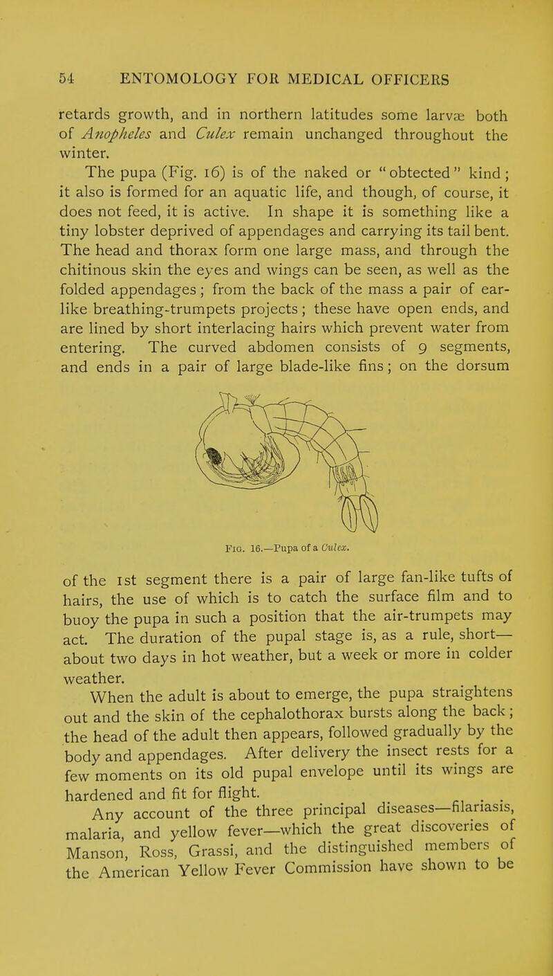 retards growth, and in northern latitudes some larva; both of Anopheles and Culex remain unchanged throughout the winter. The pupa (Fig. 16) is of the naked or obtected kind; it also is formed for an aquatic life, and though, of course, it does not feed, it is active. In shape it is something like a tiny lobster deprived of appendages and carrying its tail bent. The head and thorax form one large mass, and through the chitinous skin the eyes and wings can be seen, as well as the folded appendages; from the back of the mass a pair of ear- like breathing-trumpets projects; these have open ends, and are lined by short interlacing hairs which prevent water from entering. The curved abdomen consists of 9 segments, and ends in a pair of large blade-like fins; on the dorsum MX Fig. 16.—Pupa of a Cuhx. of the 1st segment there is a pair of large fan-like tufts of hairs, the use of which is to catch the surface film and to buoy the pupa in such a position that the air-trumpets may act. The duration of the pupal stage is, as a rule, short- about two days in hot weather, but a week or more in colder weather. When the adult is about to emerge, the pupa straightens out and the skin of the cephalothorax bursts along the back; the head of the adult then appears, followed gradually by the body and appendages. After delivery the insect rests for a few moments on its old pupal envelope until its wings are hardened and fit for flight. _ _ Any account of the three principal diseases—filanasis, malaria, and yellow fever—which the great discoveries of Manson, Ross, Grassi, and the distinguished members of the American Yellow Fever Commission have shown to be