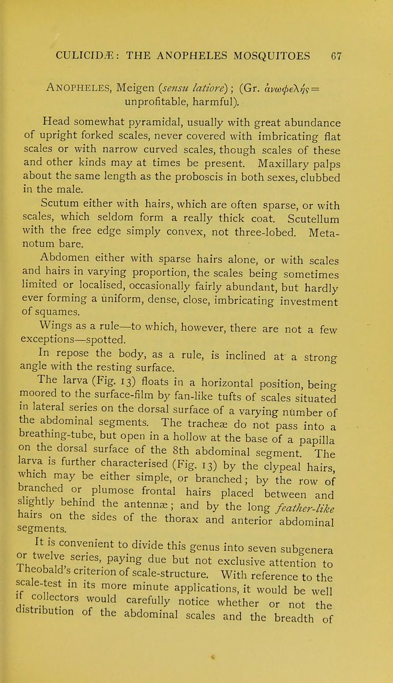 Anopheles, Meigen (sensu latiore); (Gr. avco(pe\fc = unprofitable, harmful). Head somewhat pyramidal, usually with great abundance of upright forked scales, never covered with imbricating flat scales or with narrow curved scales, though scales of these and other kinds may at times be present. Maxillary palps about the same length as the proboscis in both sexes, clubbed in the male. Scutum either with hairs, which are often sparse, or with scales, which seldom form a really thick coat. Scutellum with the free edge simply convex, not three-lobed. Meta- notum bare. Abdomen either with sparse hairs alone, or with scales and hairs in varying proportion, the scales being sometimes limited or localised, occasionally fairly abundant, but hardly ever forming a uniform, dense, close, imbricating investment of squames. Wings as a rule—to which, however, there are not a few exceptions—spotted. In repose the body, as a rule, is inclined at a strong angle with the resting surface. The larva (Fig. 13) floats in a horizontal position, being moored to the surface-film by fan-like tufts of scales situated m lateral series on the dorsal surface of a varying number of the abdominal segments. The tracheae do not pass into a breathing-tube, but open in a hollow at the base of a papilla on the dorsal surface of the 8th abdominal segment The larva is further characterised (Fig. 13) by the clypeal hairs, which may be either simple, or branched; by the row of branched or plumose frontal hairs placed between and slightly behind the antenna,; and by the long feather-like hairs on the sides of the thorax and anterior abdominal segments. It is convenient to divide this genus into seven subgenera or twelve series, paying due but not exclusive attention to 1 neobald s criterion of scale-structure. With reference to the scale-test ,n its more minute applications, it would be well if collectors would carefully notice whether or not the distribution of the abdominal scales and the breadth of
