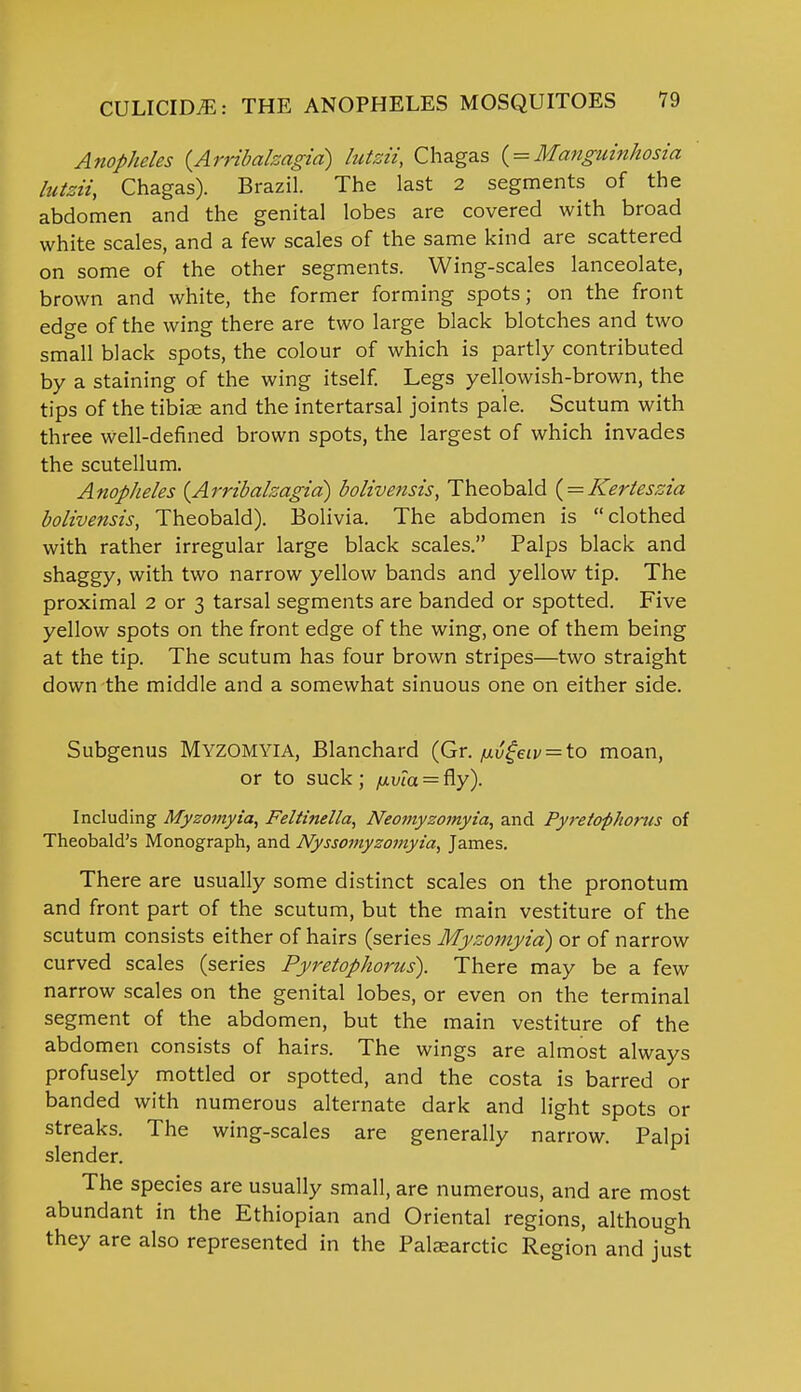 Anopheles (Arribalzagid) lutzii, Chagas ( = Manguinhosia lutzii, Chagas). Brazil. The last 2 segments of the abdomen and the genital lobes are covered with broad white scales, and a few scales of the same kind are scattered on some of the other segments. Wing-scales lanceolate, brown and white, the former forming spots; on the front edge of the wing there are two large black blotches and two small black spots, the colour of which is partly contributed by a staining of the wing itself. Legs yellowish-brown, the tips of the tibiae and the intertarsal joints pale. Scutum with three well-defined brown spots, the largest of which invades the scutellum. Anopheles {Arribalzagid) bolivetisis, Theobald ( = Kerteszia bolivensis, Theobald). Bolivia. The abdomen is clothed with rather irregular large black scales. Palps black and shaggy, with two narrow yellow bands and yellow tip. The proximal 2 or 3 tarsal segments are banded or spotted. Five yellow spots on the front edge of the wing, one of them being at the tip. The scutum has four brown stripes—two straight down the middle and a somewhat sinuous one on either side. Subgenus Myzomyia, Blanchard (Gr. /nvgeiv = to moan, or to suck; /ut.via = Ry). Including Myzomyia, Feltinella, Neomyzomyia, and Pyretophortis of Theobald's Monograph, and Nyssomyzomyia, James. There are usually some distinct scales on the pronotum and front part of the scutum, but the main vestiture of the scutum consists either of hairs (series Myzomyia) or of narrow curved scales (series Pyretophortis). There may be a few narrow scales on the genital lobes, or even on the terminal segment of the abdomen, but the main vestiture of the abdomen consists of hairs. The wings are almost always profusely mottled or spotted, and the costa is barred or banded with numerous alternate dark and light spots or streaks. The wing-scales are generally narrow. Palpi slender. The species are usually small, are numerous, and are most abundant in the Ethiopian and Oriental regions, although they are also represented in the Palaearctic Region and just