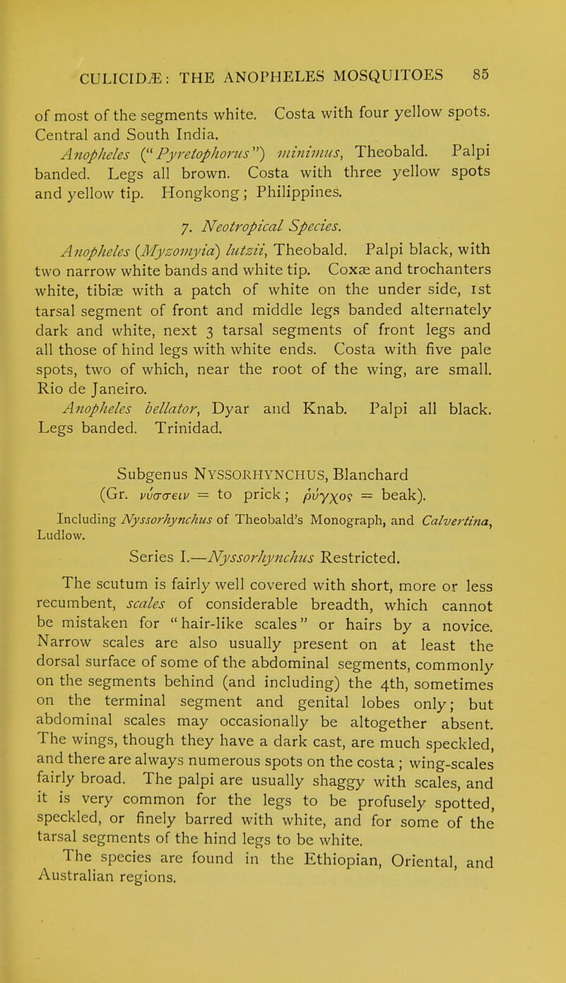 of most of the segments white. Costa with four yellow spots. Central and South India. Anopheles (Pyretophorns) minimus, Theobald. Palpi banded. Legs all brown. Costa with three yellow spots and yellow tip. Hongkong; Philippines. 7. Neotropical Species. Anopheles (Myzomyia) lutzii, Theobald. Palpi black, with two narrow white bands and white tip. Coxae and trochanters white, tibiae with a patch of white on the under side, 1st tarsal segment of front and middle legs banded alternately dark and white, next 3 tarsal segments of front legs and all those of hind legs with white ends. Costa with five pale spots, two of which, near the root of the wing, are small. Rio de Janeiro. Anopheles bellator, Dyar and Knab. Palpi all black. Legs banded. Trinidad. Subgenus NYSSORHYNCHUS, Blanchard (Gr. vvaaeiv = to prick; pvyxos = beak). Including Nyssorhynchus of Theobald's Monograph, and Calverttna, Ludlow. Series I.—Nyssorhynchus Restricted. The scutum is fairly well covered with short, more or less recumbent, scales of considerable breadth, which cannot be mistaken for hair-like scales or hairs by a novice. Narrow scales are also usually present on at least the dorsal surface of some of the abdominal segments, commonly on the segments behind (and including) the 4th, sometimes on the terminal segment and genital lobes only; but abdominal scales may occasionally be altogether absent. The wings, though they have a dark cast, are much speckled, and there are always numerous spots on the costa ; wing-scales fairly broad. The palpi are usually shaggy with scales, and it is very common for the legs to be profusely spotted, speckled, or finely barred with white, and for some of the tarsal segments of the hind legs to be white. The species are found in the Ethiopian, Oriental, and Australian regions.