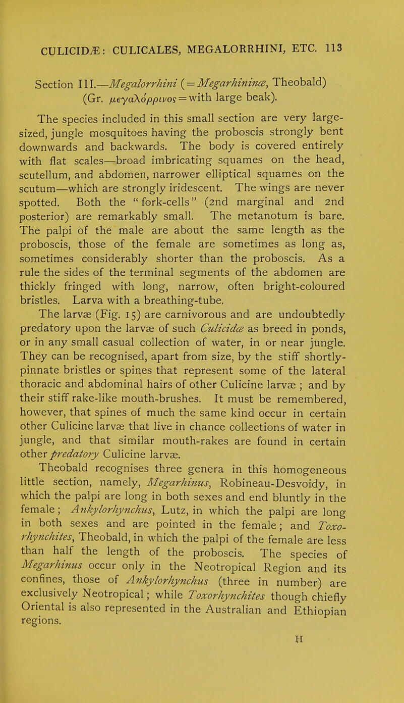Section III.—Megalorrhini ( = Megarhinince, Theobald) (Gr. fjLeya\6ppivo$ = with large beak). The species included in this small section are very large- sized, jungle mosquitoes having the proboscis strongly bent downwards and backwards. The body is covered entirely with flat scales—broad imbricating squames on the head, scutellum, and abdomen, narrower elliptical squames on the scutum—which are strongly iridescent. The wings are never spotted. Both the  fork-cells (2nd marginal and 2nd posterior) are remarkably small. The metanotum is bare. The palpi of the male are about the same length as the proboscis, those of the female are sometimes as long as, sometimes considerably shorter than the proboscis. As a rule the sides of the terminal segments of the abdomen are thickly fringed with long, narrow, often bright-coloured bristles. Larva with a breathing-tube. The larvae (Fig. 15) are carnivorous and are undoubtedly predatory upon the larvae of such Culicidce as breed in ponds, or in any small casual collection of water, in or near jungle. They can be recognised, apart from size, by the stiff shortly- pinnate bristles or spines that represent some of the lateral thoracic and abdominal hairs of other Culicine larvae ; and by their stiff rake-like mouth-brushes. It must be remembered, however, that spines of much the same kind occur in certain other Culicine larvae that live in chance collections of water in jungle, and that similar mouth-rakes are found in certain other predatory Culicine larvae. Theobald recognises three genera in this homogeneous little section, namely, Megarhinus, Robineau-Desvoidy, in which the palpi are long in both sexes and end bluntly in the female; Ankylorhynchus, Lutz, in which the palpi are long in both sexes and are pointed in the female; and Toxo- rhynchites, Theobald, in which the palpi of the female are less than half the length of the proboscis. The species of Megarhinus occur only in the Neotropical Region and its confines, those of Ankylorhynchus (three in number) are exclusively Neotropical; while Toxorhynchites though chiefly Oriental is also represented in the Australian and Ethiopian regions. tl