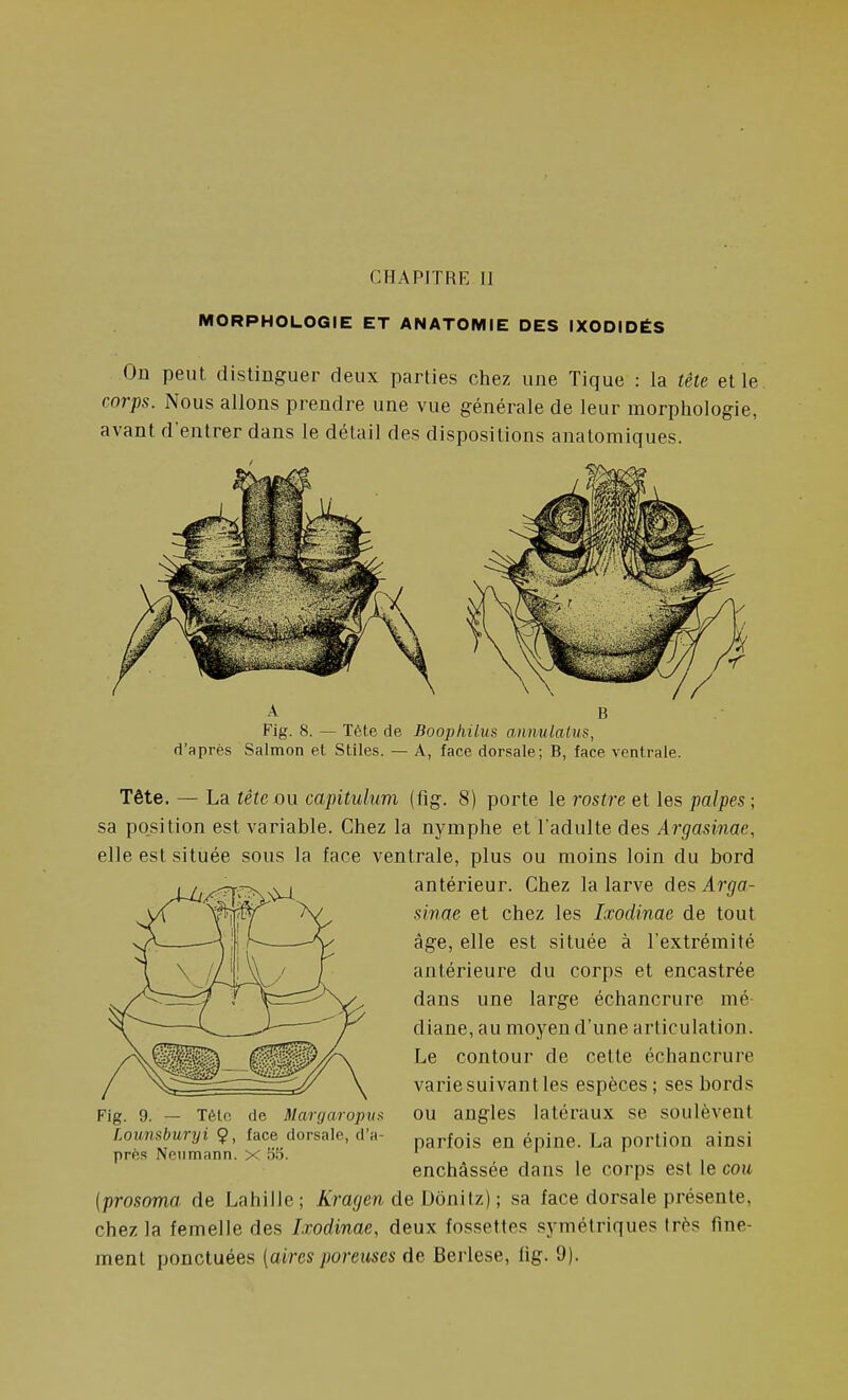 CHAPITRE 11 MORPHOLOGIE ET ANATOMIE DES IXODIDÉS On peut distinguer deux parties chez une Tique : la tête et le corps. Nous allons prendre une vue générale de leur morphologie, avant d'entrer dans le détail des dispositions anatomiques. A B Fig. 8. — Téte de Boophilus annulalus, d'après Salmon et Stiles. — A, face dorsale; B, face ventrale. Tête. — La tête ou capituhim (fig. 8) porte le rostre et les palpes; sa po,sition est variable. Chez la nymphe et l'adulte des Argasime, elle est située sous la face ventrale, plus ou moins loin du bord antérieur. Chez la larve des Arga- sinae et chez les Ixodinae de tout âge, elle est située à l'extrémité antérieure du corps et encastrée dans une large échancrure mé diane, au moyen d'une articulation. Le contour de cette échancrure varie suivant les espèces ; ses bords Fig. 9. — Téic de Margaropui^ OU angles latéraux se soulèvent Lounsburyi 9, face dorsale, d'à- parfois en épine. La portion ainsi près Neiimann. x 55.  r- ■ enchâssée dans le corps est le cou {prosoma de Lahillc ; Kragen de Donilz) ; sa face dorsale présente, chez la femelle des Ixodinae, deux fossettes symétriques très fine- ment ponctuées {aires poreuses de Berlese, fig. 9).