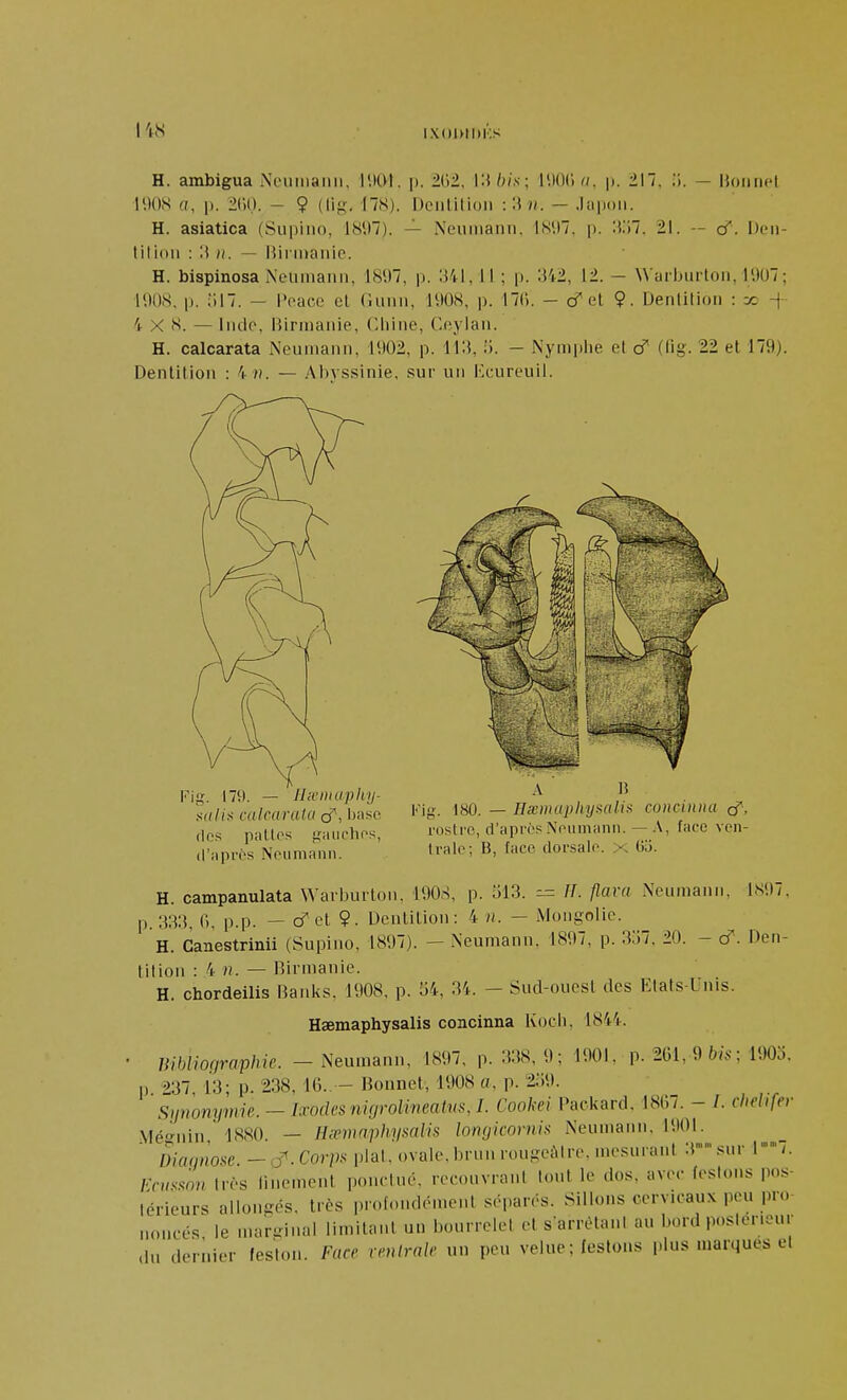 libi ixoiniiKs H. ambigua iXeumaiiii, lUOI. p. 2(12, i:{ W,s; lyOC) a, p. 217. :;. — Hoiinel l'.)()S a, p. 2(10. - Ç (lif;-. 178). Dciilitioii -.Wn. — .la|)oii. H. asiatica (Supiiio, 181)7). — Neiiiiiaiiii. 1S',)7. p. 'X'~i, 21. -- cf. Den- tition : 3 /(. — liirnianie. H. bispinosa Ncuiriann, 1897, p. Il ; p. 342, 12. — Waihiirlon, l'.)U7; H)U8, p. ;ii7. — iVacc et Gnnn, 1VI08, p. 170. - cT et 9. Dentition : y: -| 4 X S. — Inde, l^innanie, Cliine, Geylan. H. calcarata Neumann, 1902, p. li:$, 5. - Nymiilie et cT (lig. 22 et 179). Dentition : 4 /(. — Al^vssinie, sur un l'kureuil. lig. 179. — Iheiiiaphy- .sf(//.s calcarata cTi 'Jfise dos patios lîîiurhos, (l'iipros Noumann. A B l-'ig. 180. — Hx)napliysali>i concinna cT, rostre, d'après Noumann. — A, face ven- trate; B, face dorsale, x (iii. H. campanulata Wari)urlon. 190S, p. yl3. --= II. flara Neumann, 1897. \).:m, <), p.p. — cTet 9. Dentition: 4 n. — Mongolie. H. Ganestrinii (Supino, 1897). - Neumann. 1897, p. 3;i7. 20. - cf. Den- tition : 4 n. — Birmanie. H. chordeilis RanIvS. 1908, p. 54, 34. - Sud-ouest des Etats-Unis. Haemaphysalis concinna Kocii. 1844. Uiblworaphie. - Neumann, 1897, p. 338, 9; 1901, p. 261, 9 ; 190j. p 237 13; p. 238, IG.. - Bonnet, 1908 a, p. 2o9. Siinonymie. - lavdcs nkjrolineatm, I. Cookei Packard. 18(Î7. - /. chelifev .Méiinin, 1880. — Hipmaphysalifi lomjicovnis Neumann, 1901. Dicumose — cf. Corpx [ilal, ovale, brnn rougeàlre, mesurant 3.«^ur l'' /. Fhm très linemenl ponctué, recouvrant tout le dos, avec (estons pos- térieurs allongés, très i)rofond(Mnent séparés. Sillons cervicaux peu pro- noncés le marijinal limilanl un bourrelet et s arrètanl au l>ord posler.eur du dernier feston. Face renirale un peu velue ; festons plus marques et