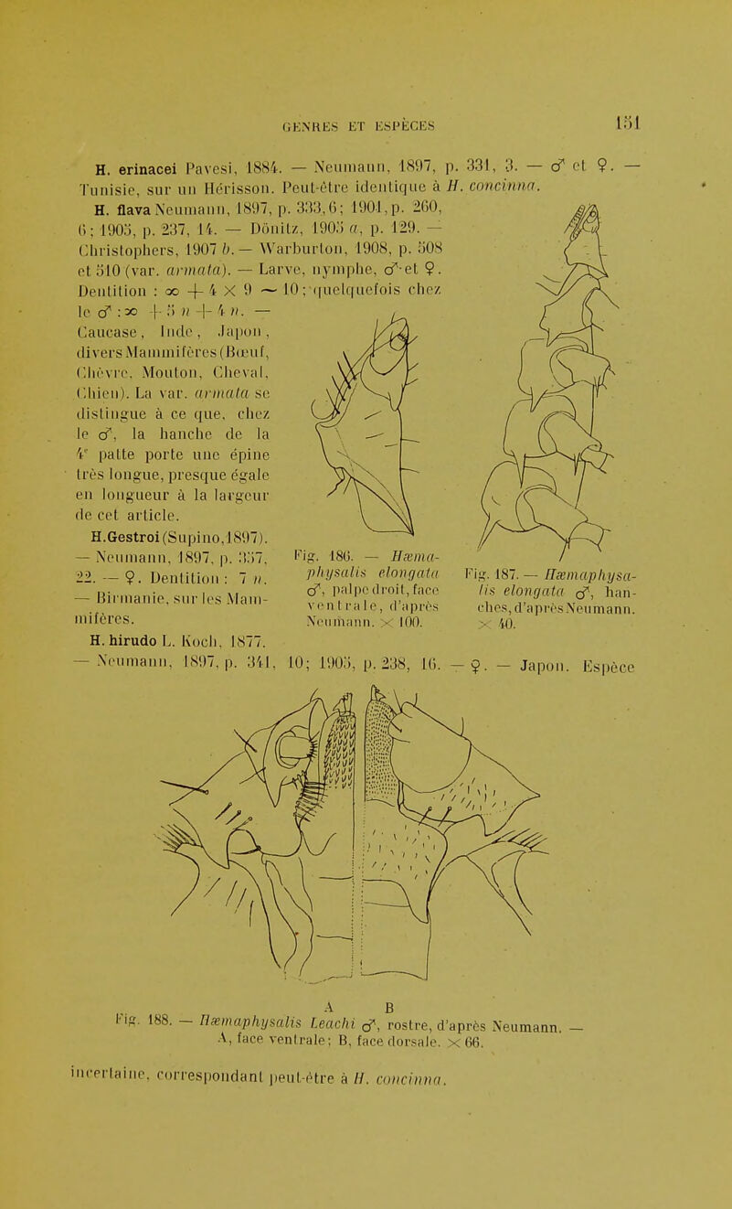 H. erinacei Pavesi, 1884. — Neiimaiin, 1897, p. 331, 3. — & et Tunisie, sur un Hérisson. Peut-être identique à H. concinna. H. flavaNouMiaun, 1897, p. 333,6; 1901,p. 2G0, 0; 190;3, p. 237, 14. — Donilz, lOO.'i a, p. 129. — Chrislopiiers, 1907 - Warburlon, 1908, p. 508 ot 310 (var. armaia). — Larve, nymphe, cT et Ç. Dentition : oo -j-4 X 9 ~ 10 ; quelquefois ciie/ le cT :30 -|- ;) )i -\- 's n. — Caucase, Inde, ,)a(i()M, divers Maninii(èrcs(li(i'uf, (.lièvre. Mouton, Cheval, Chien). La var. annata se distingue à ce que, chez le cT, la hanche de la 4'' patte porte une épine très longue, presque égale en longueur à la largeur de cet article. H.Gestroi(Supino,lS97). — Neuniann, 1897, p. :!.'i7. 22. — 9. Dentition : 7 ». — Bii'nianie, sur les .Vlani- milères. H. hirudo L. Koch. 1877. Fig. m. — Hxina- pliysalia elongaia cT, palpe droit, face viMi [ raie, d'après .\eiiniann. :< 10(1. ig. 187. — Ilœinaphysa- lis elongata q^, han- clies, d'après Neumann. X 40. .Neumann, IS97, p. 341, 10; 190;;, p. 238, l(i. - Japon. Espèce A B l'ig. 188. — rixmaphysalis Leachi (f, rostre, d'après Neumann. — A, face ventrale; B, face dorsale, x 66. i-erlaine. correspondant ))eut étre à //. concinna.