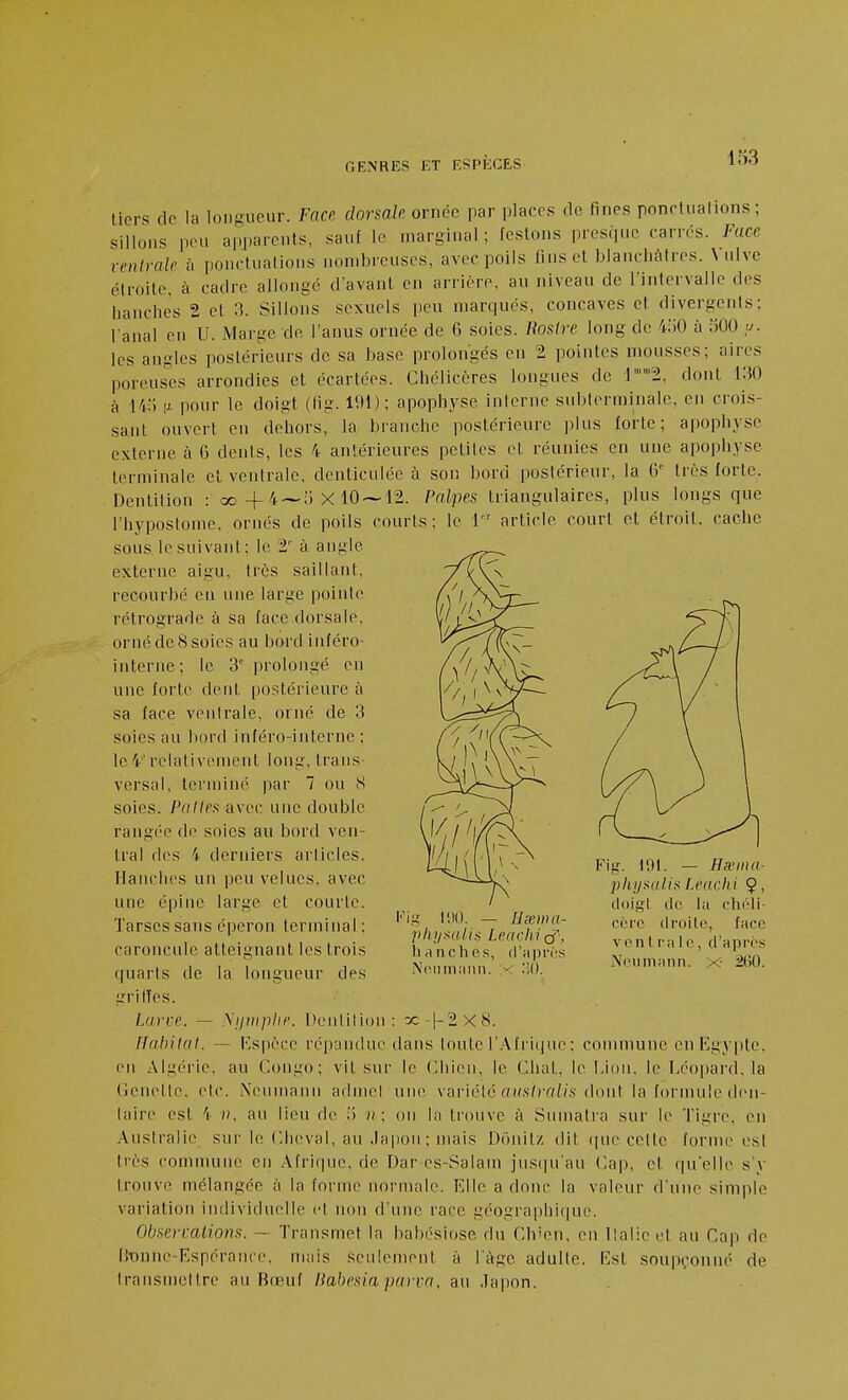 tiers de la longueur. Face dorsale ornée par places de fines ponrtuafions ; sillons peu apparents, sauf le marginal; festons presque carres. Face ventrale à ponctuations nondMcuscs, avec poils lins et blanclu'itres. ^ ulve étroite, à cadre allongé d'avant en arrière, au niveau de l'intervalle des hanches 2 et 3. Sillons sexuels peu niar(|ués, concaves et divergents; fanal en U. Marge de l'anus ornée de 6 soies, liosire long de iiiO à .500 y. les angles postérieurs de sa base prolongés en 2 pointes mousses; aires poreuses arrondies et écartées. Chélicères longues de 12, dont VAO à '14) fJ^ pour le doigt (fig. 191); apophyse interne sublerminale, en crois- sant ouvert en dehors, la branche postérieure plus forte; apophyse externe à 6 dents, les 4 antérieures petites et réunies en une apophyse terminale et ventrale, denticulée à son bord postérieur, la 6' très forte. Dentition : 00+4 — 5x10 — 12. Palpes triangulaires, plus longs que l'hypostome, ornés de poils courts; le 1  article court et étroit, cache sous le suivant; le 2'' à angle externe aigu, très saillant, recourbé en une large pointe rétrograde à sa face dorsale, orné de 8 soies au bord iiiféro- interne; le 3' prolongé en une forte dent postérieure à sa face venirale, orné de 3 soies au liord inféro-interne ; le 4'relativement long, trans- versal, terminé par 7 ou N soies. Pâlies avec une double rangée de soies au bord ven- tral des 4 derniers articles. Hanches un peu velues, avec une épine large et courte. Tarses sans éperon terminal : caroncule atteignant les trois quarts de la longueur des grilles. Larve. — \jiittplie. Denlilion : :z; 1-2x8. Habitai. — Kspèce répandue dans loute r.\fri(|ue ; connnune en Egypte, en Algérie, au Congo; vit sur le Chien, le CluiL, le Lion, le Léopard, la Genettc, etc. iXenmann adinel une variété «(/.s/crd/s dont la formule den- laire est 4 », au lieu de i) » ; on la trouve à Sumatra sur le Tigre, en .Australie sur le Cheval, au ,)apon; mais Donilz dit (|uc cette forme esl très commune en Afrique, de Dar es-Salam jns(|u'au Cap, et quelle s'y trouve mélangée à la forme normale. Elle a donc la valeur d'une simple variation individuelle et non d'une race géographique. Observaliom. — Transmet la babésiose du Ch'en, en Ilalicot au Cap de BT)nne-Espéraiiie, mais seulement à l'âge adulte. Est soupçonné de transmeltre au Bœuf Habesia parva, au Japon. Fig lltO. — H;ewa- physalis Leachi^j', hanches, d'aprcs Ncmnaiin. ' :;(). Fig. 191. — Hœma- physulis Leachi Ç, rioigt (le la chéli- cèrc droite, face venlra le, d'après Neiimann. x- 260.