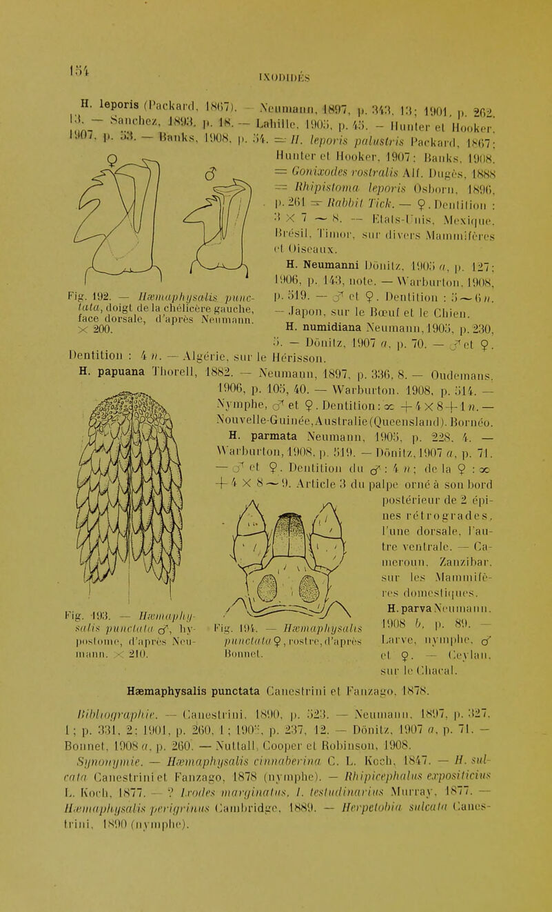loi IXODIDÉS H. leporis (Packard, INBT) K). — Sanchez. mxi. ji. 18. mi. p. — Banks, l'JOS. I'- Fig. 192. — Hœntaphysalis puiic- tala, doigt de la cholicère gauche, face dorsale, d'après Npiimaiin. X 200. .Noimiaim, 1H97, p. 3W, i:{; 1901, p. 202. Lahille. HIO.!, p. 45. - lluuter et Hooker. i'i. —//. leporis paluslris Packard, IS'67: Huiiterot Hooker, 1907: Haiik.s, 1908. = Gonixodes roslraHs Alf. Diigè.s, 1K8S = RhipistoDia leporis Oshorii. I89li, p. 2GI — Ihibhil Tick. — 9. Deiililioii : :! X 7 ~ S. — Klal.s-riiis. .Vloxifpie. Hrésll, Timor, sur divers .Vlainiiiifères et Oiseaux. H. Neumanni iJùiiilz, lUO.'i a, p. 127; l'.lOB, p. !«, note. — Warbiirtoii. I90S, p. 519. — et 9. Dentition : — Japon, sur le Bœuf et le Chien. H. numidiana iXeiimann, 1905, p. 230, • >. — Dônilz, 1907 a. p. 70. — j^et 9. Dentition : 4 — Algérie, sur le Hérisson. H. papuana Tliorell, 1882. — iXeumanu, 1897, p. 330, 8. — Oudenians. 1900, p. 105, 40. — Warburton. 1908, p. 514. — Nymphe, et 9. Dentition : ac +4x84-1 n. — Nouvelle-Guinée,Australie(Queensland). Bornéo. H. parmata Neumaun, 1905, p. 228. 4. — Warburton, 1908. p. ;i19. — Donitz. 1907 «, p. 71. — et 9- Dentition du cf : 4 » ; de la 9 : ac 4- X 8 ~ 9. Article 3 dn palpe orné à son bord postérieur de 2 épi- nes rétrogrades, l'une dorsale, l'an- tre ventrale. — Ca- nieroLiu. Zanzibar, sur les .Mannnifè- res doinesli(|ues. H.parvaNeunianii. 1908 p. 89. - Larve, nymphe, et 9. — Ceybm. sur le Chacal. Fig. 193. — Ilœinapinj- salis puitclalu cf, h.v- posloine, d'après ÎS'eu- ii\ann. 210. Hxmuphysalis punclulu 9, rostre, d'après Bonnet. Haemaphysalis punctata Canestrini et Fanzago. 1878. lliblioffruph.il'. — Canestrini. 1890, p. 523. — Neumauu, 1897, p. 327. 1; p. 331, 2: 1901, p. 200. 1 ; 190, p. 237, 12. - Donitz. 1907 o. p. 71. - Bonnet, 1908 «. p. 200. — Nuttall, Cooper cl Robinson, 1908. Sipwiiyiiiie. — Hœmaphiisalis ciinuiheriria C. L. Koch, 1847. cala Canestrini et Faiizago, 1878 (nymphe). — Rhipiceplialns ej-positicius L. Koch, 1877. -- ? l.vocles maryinatns. I. testiidimrius Mnrray. 1S77. — llienuiphjisaUs perigrinas {Aiiiiln-id'j^^ 1889. — Herpelobiu sulcutaC.mo.s- trini, 1S90 (nymphe). - H. sul-