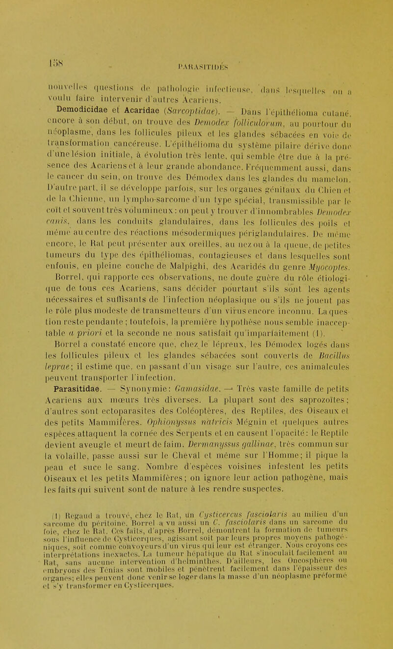 l**^ J'A1{AS1T||»KS iiouvellfs qnesliuiis de pn!Iiolo-ic iiif.Tliniso. '.laiis lrs.|ii<.||,.s ..ii voulu faire intervenir d'autres Aciiricus. Demodicidae et Acaridae {Sarcoptidue). - Dans l épilliéliuina cutané, encore à son délnit, on trouve des Dcmodex folliculorum, au pourtour du néoplasme, dans les follicules pileux et les glandes sébacées en voie de transformation cancéreuse. L épilhélioma du système pilaire dérive donc d'une lésion initiale, à évolution très lente, ([ui semble t''tre due à la pré- sence des Acariens et à leur jurande abondance. Fré(|uemment aussi, dans le cancer du sein, on trouve des Démodex dans les glandes du mamelon. Danire pari, il se développe parfois, sur les organes génilau.x du Cliien et de la Cbieiine, un Iymplio-sarcome d'un type spécial, Iraiismissible par le coït et souvent très volumineux : on peut y trouver d'innombrables Deinndcs cfinix. dans les conduits glandulaires, dans les follicules des poils el même au centre des réactions mésodermiques périglandulaires. De même encore, le Hat peut présenter aux oreilles, au ne/ou à la <|ueue, île pelites tumeurs du lype des épitliéliomas, contagieuses et dans lesquelles sont eufouis, en pleine couclie de Malpigbi, des Acaridés du genve Myocoples. Borrel, (jui rapporte ces observations, ne doute guère du rôle étiologi- (jue de tous ces Acariens, sans décider pourtant s'ils sont les agents nécessaires et sulllsants de l'infection néoplasique ou s'ils ne jouent pas le rôle plus modeste de transmetteurs d'un vii'usencore incouiiu. Laques tion reste pendante ; loutefois, la première liypollièse nous semble inaccep- table a priori et la seconde ne nous satisfait qu'inq:)arfaitement (1). Borrel a constaté encore que, chez le lépreux, les Démodex logés dans les follicules pileux et les glandes sébacées sont couverts de Bacilliis Icprae; il estime que, en passant d'un visage sur l'aulre. ces animalcules peuvent transporter l'infection. Parasitidae. — Synonymie: Ganutfiidae. —' Très vaste famille de petits Acariens aux mœurs très diverses. La plupart sont des saprozoiles : d'autres sont ectoparasites des Coléoptères, des Reptiles, des Oiseaux el des petits Mammifères. Ophionyssris n'atricis Mégnin et (|uel(|ues autres espèces attaquent la cornée des Serpents et en causent l'opacité: le Reptile devient aveugle et meurt de faim. Dermanyssuii gallinae, très commun sur la volaille, passe aussi sur le Cheval et même sur l'Homme; il pique la peau et suce le sang. Nombre d'espèces voisines infestent les petits Oiseaux el les petits Mammifères; on ignore leur action pathogène, mais les faits qui suivent sont de nature à les rendre suspectes. (I) Regaïul a trouvé, diez le liât, un Cysticcrais fasciolaria au milieu d'un sarcome du péritoine. Horrel a vu aussi un C. fascinktris dans uti sarcomo du foie, clioz le Ral. Ces [ails, d'a|)rcs Horrol, dèmonlnMil la tormalion do tumeurs sous l'influoncedo Cysliceniucs, agissant soit par tours propres moyons patliogo- ni(iuos, soit commn convoyeurs d'un virus (pii leur est élrangor. Ndus croyims ces interprétations ino.xaclos.'La lumour liépali(iuo ilu Hat s'inoculait facilement au liât, sans aucinu^ inlorvonlion d'iiolminlhes. D'ailleurs, les Oncosphoros ou embryons dos Ténias sont mobiles el pénètrent facilement dans l'épaisseur de.s organes; elles peuvent donc vonir.se loger dans la ma.s.se d'un néoplasme préformo et s'y transformer en C.ysticoniues. I