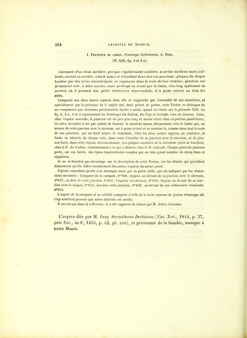 I. Pentonyx du gabon, Pentonyx Gabonensis, A. Dum. (Pl. XIII, fig. 2 et 2 a). Carapace d'un brun noirâtre, presque régulièrement ovalaire, à carène médiane assez sail- lante, surtout en arrière, à bord mince et tranchant dans tout son pourtour; plaques du disque bordées par des stries concentriques, et rugueuses dans le reste de leur étendue; plastron uni formément noir, à ailes courtes, aussi prolongé en avant que le limbe, très-long également en arrière, où il présente une petite échancrure sous-caudale, et à peine rétréci au delà des ailes. Comparée aux deux autres espèces dont elle se rapproche par l'ensemble de ses caractères, et spécialement par la présence de 5 ongles aux deux paires de pattes, cette Tortue se distingue de ses congénères par certaines particularités faciles a saisir, quand on étudie sur la planche XIII, les 6g. 2, 2 a, 3 et 4 représentant les Pentonyx du Gabon, du Cap et Gchafie vues en dessous. Ainsi, chez l'espèce nouvelle, le plastron est un peu plus long et moins étroit dans ea portion postérieure; les ailes sternales n'ont pas autant de hauteur et montent moins obliquement vers le limbe qui, au niveau de cette jonction avec le sternum, est à peine rétréci et se termine là, comme dans tout le reste de son pourtour, par un bord mince et tranchant. Chez les deux autres espèces, au contraire, le limbe se rétrécit, de chaque côté, dans toute l'étendue de sa jonction avec le sternum, et de plus, son bord, dans cette région, devient mousse. Les plaques sternales de la troisième paire se touchent, chez le P. du Gabon, contrairement à ce qui s'observe chez le P. Gehafie. Chaque pièce du plastron porte, sur ses bords, des lignes longitudinales coupées par un très-grand nombre de stries fines et régulières. Je ne m'étendrai pas davantage sur la description de cette Tortue, car les détails qui précèdent démontrent qu'elle diffère notablement des autres espèces du même genre. J'ajoute cependant qu'elle s'en distingue aussi par sa petite taille, qui est indiquée par les dimen- sions suivantes : Longueur de la carapace, 0'660; largeur, au-devant de sa jonction avec le sternum, O047; au delà de cette jonction, 0ni051 ; longueur du sternum, 0'056; largeur au-devant de sa jonc- tion avec le disque, 0n'033; derrière cette jonction, 0m030; au-devant de son échancrure terminale, 0m015. L'aspect de la carapace et sa solidité comparée à celle de la boîte osseuse de jeunes Pentonyx du Cap semblent prouver que notre individu est adulte. Il est unique dans la collection, et a été rapporté du Gabon par M. Aubry-Lecomte. L'espèce dite par M. Gray Sternotherus Derbianus (Cat. Tort., 1844, p. 37, puis Cat., in-4, 1855, p. 52, pl. xxu), et provenant de la Gambie, manque à notre Musée.