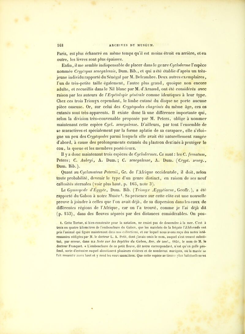 Paris, est plus échancré en même temps qu'il est moins étroit en arrière, et en outre, les lèvres sont plus épaisses. Enfin, il me semble indispensable de placer dans le genre Cycloderme l'espèce nommée Cryp'opus senegalensis, Dum. Bib., et qui a été établie d'après un très- jeune individu rapporté du Sénégal par M. Delcambre. Deux autres exemplaires, l'un de très-petite taille également, l'autre plus grand, quoique non encore adulte, et recueillis dans le Nil blanc par M. d'Arnaud, ont été considérés avec raison par les auteurs de VErpétologie générale comme identiques à leur type. Chez ces trois Trionyx cependant, le limbe cutané du disque ne porte aucune pièce osseuse. Or, sur celui des Cryptopodes chagrinés du même âge, ces os cutanés sont très-apparents. Il existe donc là une différence importante qui, selon la division très-convenable proposée par M. Peters, oblige à nommer maintenant cette espèce Cycl. sénégalaise. D'ailleurs, par tout l'ensemble de se scaractères et spécialement par la forme aplatie de sa carapace, elle s'éloi- gne un peu des Cryptopodes parmi lesquels elle avait été naturellement rangée d'abord, à cause des prolongements cutanés du plastron destinés à protéger le cou, la queue et les membres postérieurs. Il y a donc maintenant trois espèces de Cyclodermes. Ce sont : les C. frenatum, Peters; C. Aubryi, A. Dum.; C. sénégalaise, A. Dum. (Crypt. sencg., Dum. Bib.). Quant au Cyclanosteus Petersii, Gr. de l'Afrique occidentale, il doit, selon toute probabilité, devenir le type d'un genre distinct, en raison de ses neuf callosités sternales (voir plus haut, p. 165, note 3). Le Gymnopode d'Egypte, Dum. Bib. (Trionyx jEgyptiacus, Geoffr. ), a été rapporté du Gabon à notre Musée1. Sa présence sur cette côte est une nouvelle preuve à joindre à celles que l'on avait déjà, de sa dispersion dans les eaux de différentes régions de l'Afrique, car on l'a trouvé, comme je l'ai déjà dit (p. 153), dans des fleuves séparés par des distances considérables. On pos- 1. Cette Tortue, si bien construite pour la natation, ne craint pas de descendre à la mer. C'est à trois ou quatre kilomètres de l'embouchure du Gabon, que les matelots de la frégate YEldorado ont pris l'animal qui figure maintenant dans nos collections, et sur lequel nous avons reçu des notes inté- ressantes rédigées par M. le docteur L. A. Petit, dont j'avais omis le nom, auquel s'est trouvé substi- tué, par erreur, dans ma Note sur les Reptiles du Gabon, Rev. de zoo/., 1856, le nom de M. le docteur Franquet. « L'embouchure de ce petit fleuve, dit notre correspondant, n'est qu'un golfe pro- fond, sorte d'estuaire auquel aboutissent plusieurs rivières et de nombreux marigots, où la marée se fait ressentir assez haut et y rend les eaux saumàtres. Que cette espèce se tienne plus habituellement