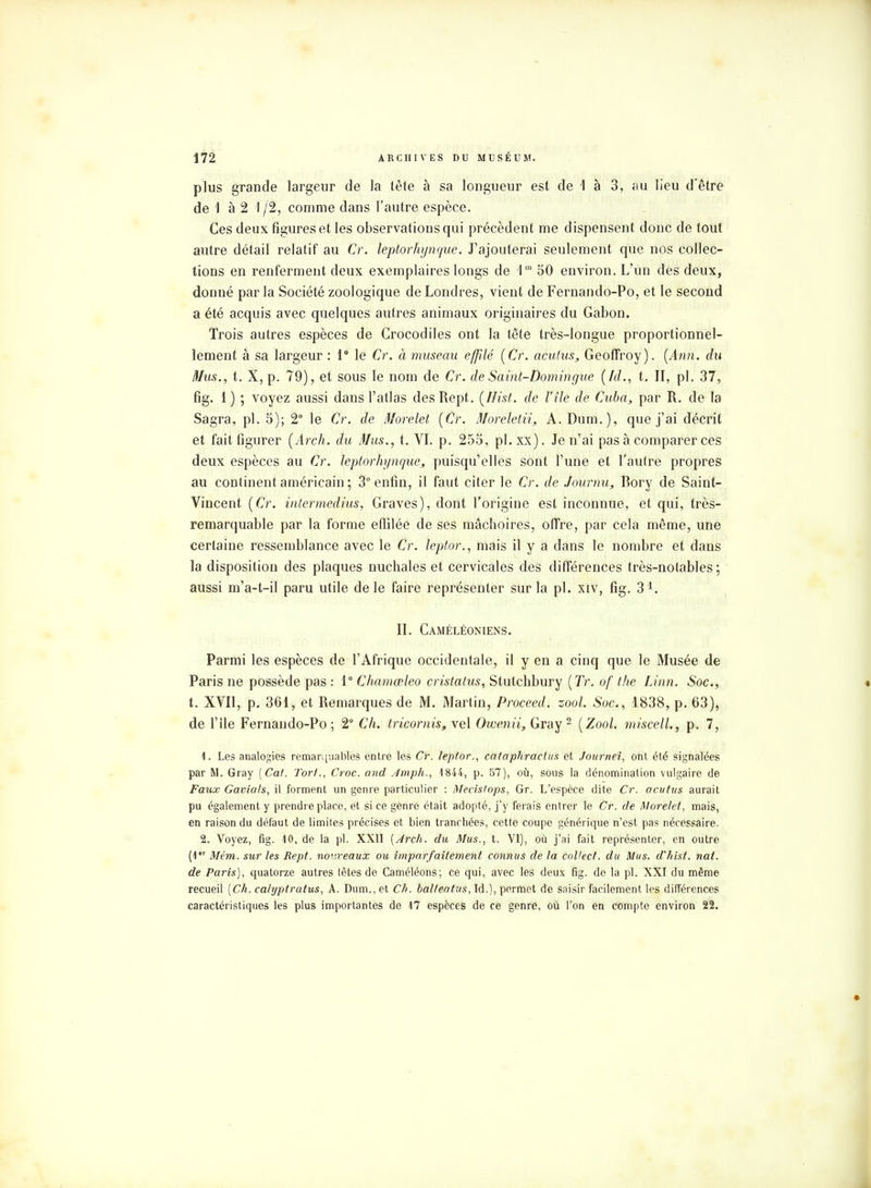 plus grande largeur de la tête à sa longueur est de 1 à 3, ciu lieu d'être de 1 à 2 \ /2, comme clans l'autre espèce. Ces deux figures et les observations qui précèdent me dispensent donc de tout autre détail relatif au 'Cr. leptorhynque. J'ajouterai seulement que nos collec- tions en renferment deux exemplaires longs de \m 50 environ. L'un des deux, donné par la Société zoologique de Londres, vient de Fernando-Po, et le second a été acquis avec quelques autres animaux originaires du Gabon. Trois autres espèces de Crocodiles ont la tête très-longue proportionnel- lement à sa largeur : 1° le Cr. à museau effilé (Cr. acutus, Geoffroy). (Ann. du Mus., t. X, p. 79), et sous le nom de Cr. de Saint-Domingue (Id., t. II, pl. 37, fig. 1 ) ; voyez aussi dans l'atlas des Rept. (Hist. de l'île de Cuba, par R. de la Sagra, pl. 5); 2° le 6Y. de Morelet (Cr. Moreletii, A.Dum.), que j'ai décrit et fait figurer (Arch. du Mus., t. VI. p. 255, pl.xx). Je n'ai pas à comparer ces deux espèces au Cr. leptorhynque, puisqu'elles sont l'une et l'autre propres au continent américain ; 3° enfin, il faut citer le Cr. de Journu, Rory de Saint- Vincent (Cr. intermedius, Graves), dont l'origine est inconnue, et qui, très- remarquable par la forme effilée de ses mâchoires, offre, par cela même, une certaine ressemblance avec le Cr. leptor., mais il y a clans le nombre et dans la disposition des plaques nuchales et cervicales des différences très-notables ; aussi m'a-t-il paru utile de le faire représenter sur la pl. xiv, fig. 31. IL Caméléoniens. Parmi les espèces de l'Afrique occidentale, il y en a cinq que le Musée de Paris ne possède pas : 1° Chamœleo cristatus, Stulchbury (Tr. of the Linn. Soc, t. XVII, p. 361, et Remarques de M. Martin, Proceed. zool. Soc., 1838, p. 63), de l'ile Fernando-Po; 2° Ch. tricornis, vel Owenii, Gray2 (Zool. miscell., p. 7, 1. Les analogies remarquables entre les Cr. leptor., cataphractus et Journei, ont été signalées par M. Gray ( Cat. Tort., Croc, and Àmph., 184-4, p. 57), où, sous la dénomination vulgaire de Faux Gavials, il forment un genre particulier : Mecislops, Gr. L'espèce dite Cr. acutus aurait pu également y prendre place, et si ce genre était adopté, j'y ferais entrer le Cr. de Morelet, mais, en raison du défaut de limites précises et bien tranchées, cette coupe générique n'est pas nécessaire. 2. Voyez, fig. 10, de la pl. XXII {Arch. du Mus., t. VI), où j'ai fait représenter, en outre (1 Mém. sur les Rept. no';reaux ou imparfaitement connus de la colfect. du Mus. d'hist. nat. de Paris), quatorze autres tètes de Caméléons; ce qui, avec les deux fig. de la pl. XXI du même recueil [Ch. calyptratus, A. Dum., et Ch. balteatns, Id.), permet de saisir facilement les différences caractéristiques les plus importantes de 17 espèces de ce genre, où l'on en compte environ 22.