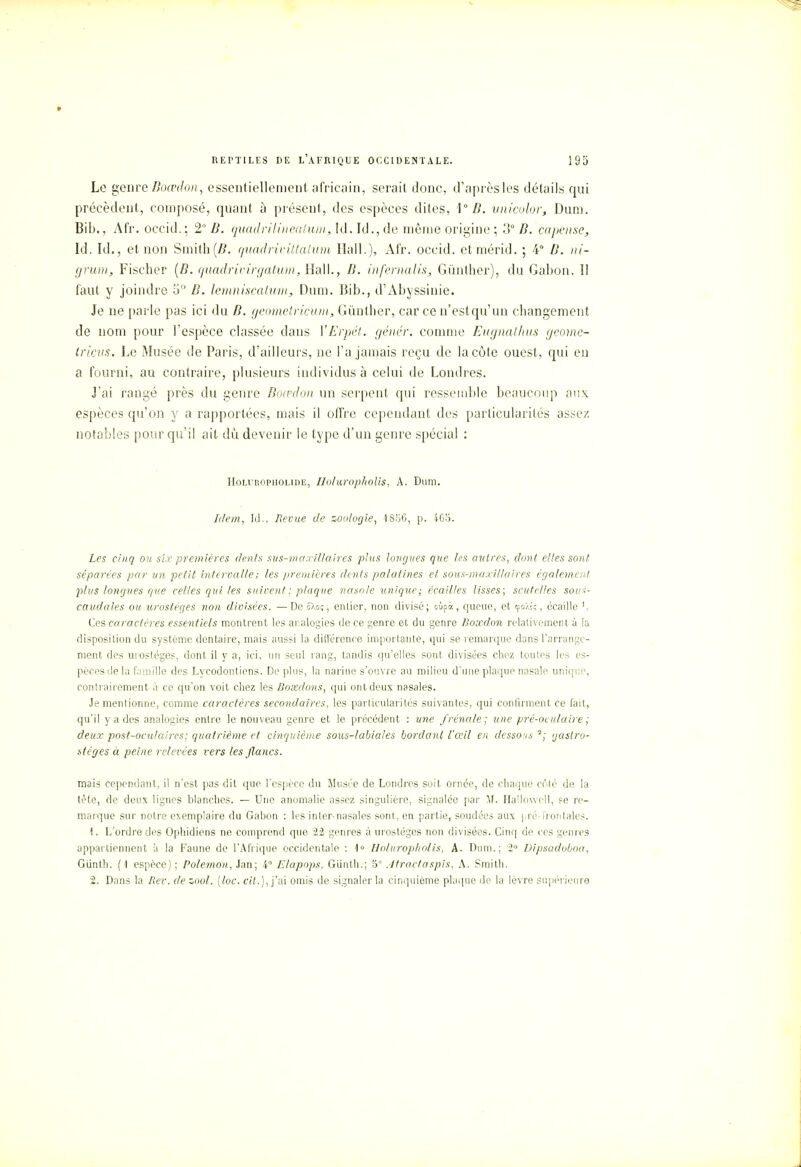 Le genre Boœdon, essentiellement africain, serait donc, d'après les détails qui précèdent, composé, quant à présent, des espèces dites, 1° B. unicolor, Dum. Bib., Air., occid. : 2 B. quadrilinealum, kl. Id., de même origine ; 3° B. capense, Id. Id., et non Smith (B. quadrivittatum Hall.), Afr. occid. etmérid. ; 4° B. ni- grum, Fischer (B. quadrivîrgatum, Hall., B. infemalis, Gùnther), du Gabon. Il faut y joindre 5° B. lemniscalurn, Dum. Bib., d'Abyssinie. Je ne parle pas ici du B. geomelricum, Giiuther, car ce n'estqu'un changement de nom pour l'espèce classée dans VErpét. génér. comme Eugnathus geome- tricus. Le Musée de Paris, d'ailleurs, ne Fa jamais reçu de la côte ouest, qui en a fourni, au contraire, plusieurs individus à celui de Londres. J'ai rangé près du genre Boœdon un serpent qui ressemble beaucoup aux. espèces qu'on y a rapportées, mais il offre cependant des particularités assez notables pour qu'il ait dû devenir le type d'un genre spécial : IIoluiïopholide, Holuropholis, A. Dum. Idem, kl., Revue de zoologie, 1856, p. 465. Les cinq ou sir premières dénis sus-maxll/aires plus longues que les autres, dont elles sont séparées par un petit intervalle; les premières dents palatines et sous-maxillaires également jilus longues que celles qui les suivent; plaque nasale unique; écailles lisses; scute/les soir;- caudales ou urostéges non divisées. —Deô'Xo?, entier, non divisé; oùpà, queue, et tpoXsç, écaille ', Ces caractères essentiels montrent les analogies de ce genre et du genre Boœdon relativement à la disposition du système dentaire, mais aussi la différence importante, qui se remarque dans l'arrange- ment des urostéges, dont il y a, ici, un seul rang, tandis qu'elles sont divisées chez toutes les es- pèces de la famille des Lycodonticns. De plus, la narine s'ouvre au milieu d'une plaque nasale unique, contrairement à ce qu'on voit chez les Bosedons, qui ont deux nasales. Je mentionne, comme caractères secondaires, les particularités suivantes, qui confirment ce fait, qu'il y a des analogies entre le nouveau genre et le précédent : une /rénale; une pré-oculaire ; deux post-oculaires; quatrième et cinquième sous-labiales bordant l'oeil en dessous 2; gaslro- stéges à peine relevées vers les jlancs. mais cependant, il n'est pas dit que l'espèce du Musée de Londres soit ornée, de chaque n'té de la tète, de deux lignes blanches. — Une anomalie assez singulière, signalée par M. Hallowell, ?e re- marque sur notre exemplaire du Gabon : les inler-nasales sont, en partie, soudées aux pré-frontales. 1. L'ordre des Ophidiens ne comprend que 22 genres à urostéges non divisées. Cinq de ces genres appartiennent, à la Faune de l'Afrique occidentale : 1° Holuropholis, A. Dum.; 2° Dipsadoboa, Gunth. ( I espèce) ; Polemon, Jan; 4 Elapops, Giinth.; 5 Jtracfaspis, A. Smith. 2. Dans la Rev. de zool. (loc. cit.), j'ai omis de signaler la cinquième plaque de la lèvre supérieure