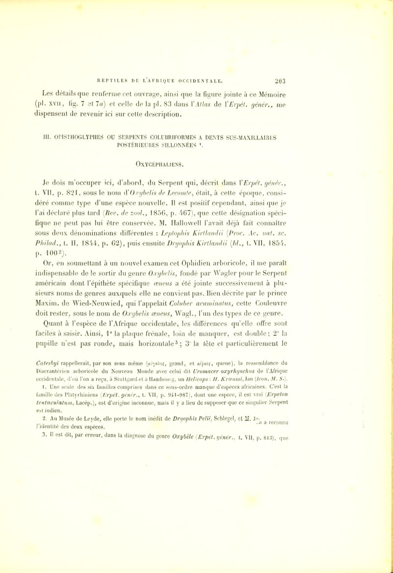 Les détails que renferme cet ouvrage, ainsi que la figure jointe à ce Mémoire (pl. xvn, fig. 7 et 7a) et celle de la pl. 83 dans l'Atlas de V Erpét. génér., me dispensent de revenir ici sur cette description. III. OPISTHOGLYPHES OU SERPENTS COLUBRIFORMES A DENTS SUS-MAXILLAIRES POSTÉRIEURES SILLONNÉES OxYCÉPHALIENS. Je dois m'occuper ici, d'abord, du Serpent qui, décrit dans V Erpét. génêr., t. VII, p. 821, sous le nom d'O.vybelis de Lecomfe, était, à cette époque, consi- déré comme type d'une espèce nouvelle. Il est positif cependant, ainsi que je l'ai déclaré plus tard (Rev. de zooL, 1856, p. 467), que cette désignation spéci- fique ne peut pas lui être conservée. M. Ilallowell l'avait déjà fait connaître sous deux dénominations différentes : Leptophis Kirtlandii (Proc. Âc. nat. se. Phiktd., t. II, 1844, p. 62), puis ensuite Dryophis Kirtlandii [Id.3 t. VII, 1854. p. 1002). Or, en soumettant à un nouvel examen cet Ophidien arboricole, il me paraît indispensable de le sortir du genre O-ojbelis, fondé par Wagler pour le Serpent américain dont l'épithète spécifique œneus a été jointe successivement à plu- sieurs noms de genres auxquels elle ne convient pas. Bien décrite par le prince Maxim, de Wied-Neuwied, qui l'appelait Coluber acuminatus, cette Couleuvre doit rester, sous le nom de OxybeJis œneus, Wagl., l'un des types de ce genre. Quant à l'espèce de l'Afrique occidentale, les différences qu'elle offre sont faciles à saisir. Ainsi, 1° la plaque frênaie, loin de manquer, est double; 2° la pupille n'est pas ronde, mais horizontale5; 3 la tète et particulièrement le Catesbyi rappellerait, par son sens même (ui-pcXoî, grand, et j«f>cc;, queue), la ressemblance du Diacrantérien arboricole du Nouveau Monde avec celui dit Uromacer oxyrhynchus de l'Afrique occidentale, d'où l'on a reçu, à Stuttgard et à Hambourg, un Helicops : H. Kraussi, Jan [kon. M. S.). 1. Une seule- des six familles comprises dans ce sous-ordre manque d'espèces africaines. C'est la famille des Platyrhiniens (Erpét. génér., t. VII, p. 941-987), dont une espèce, il est vrai [Erpeton tentaculatum, Lacép.), est d'origine inconnue, mais il y a lieu de supposer que ce singulier Serpent est indien. 2. Au Musée do Levde, elle porte le nom inédit de Dryophis Pelii, Schlege!, et il. .5i q i ^, a reconnu ,1 identité des deux espèces. 3. Il est dit, par erreur, dans la diagnose du genre Oxybèle {Erpét. génér., t. VU, p. 813), que