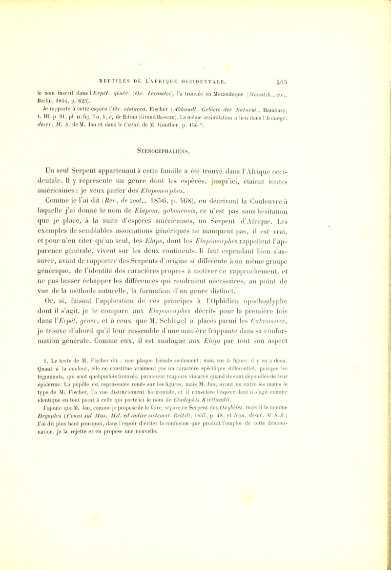 I REPTILES DE LA FUI QUE OCCIDENTALE. 205 le nom inscrit dans VErpêt. génêr. [Ox. Leco?ntei), l'a trouvée en Mozambique [Monatsb., etc., Berlin, 1854, p. 623). Je rapporte à cette espèce ÏOx. violacea, Fischer (Abhandl. Gebiete der Natitrw., Hamburg, t. III,p. 91, pl. n, fig. Ta, 6, c, deEdina (Grand Bassam). La même assimilation a lieu dans Ylconogr. deacr. M. S. de M. .Tan et dans le Catal. de M. Gunther, p. 156 '. Sténogépiialiens. Un seul Serpent appartenant à cette famille a été trouvé dans l'Afrique occi- dentale. Il y représente un genre dont les espèces, jusqu'ici, étaient toutes américaines : je veux parler des Elapomorphes. Comme je l'ai dit (Rev. dezooL, '1856, p. 468), en décrivant la Couleuvre à laquelle j'ai donné le nom de Elapom. gabonensis, ce n'est pas sans hésitation que je place, à la suite d'espèces américaines, un Serpent d'Afrique. Les exemples de semblables associations génériques ne manquent pas, il est vrai, et pour n'en citer qu'un seul, les Elaps, dont les Elapomorphes rappellent l'ap- parence générale, vivent sur les deux continents. 11 faut cependant bien s'as- surer, avant de rapporter des Serpents d'origine si différente à un même groupe générique, de l'identité des caractères propres à motiver ce rapprochement, et ne pas laisser échapper les différences qui rendraient nécessaires, au point de vue de la méthode naturelle, la formation d'un genre distinct. Or, si, faisant l'application de ces principes à l'Ophidien opislhoglyphe dont il s'agit, je le compare aux Elapomorphes décrits pour la première fois dans YErpéù. génér. et à ceux que M. Schlegel a placés parmi les Calamaires, je trouve d'abord qu'il leur ressemble d'une manière frappante dans sa confor- mation générale. Comme eux, il est analogue aux Elaps par tout son aspect 1. Le texte de M. Fischer dit : une plaque frênaie seulement; mais sur la figure, il y en a deux. Quant à la couleur, elle ne constitue vraiment pas un caractère spécifique différentiel, puisque les téguments, qui sont quelquefois bronzés, paraissent toujours violacés quand ils sont dépouillés de leur épidémie. La pupille est représentée ronde sur les figures, mais M. Jan, ayant eu entre les mains le type de M. Fischer, l'a vue distinctement horizontale, et il considère l'espèce dont il s'agit comme identique en tout point à celle qui porte ici le nom de Cladophis Kirllandii. J'ajoute que M. Jan, comme je propose de le faire, sépare ce Serpent des Oxybèles, mais il le nomme Dryophis {Cenni sul Mus. Mil. ed indice sistemat. Rettili, 1857, p. 48, et Icon. descr. M. S. S.) J'ai dit plus haut pourquoi, dans l'espoir d'éviter la confusion que produit l'emploi de cette dénomi- nation, je la rejette et en propose une nouvelle.