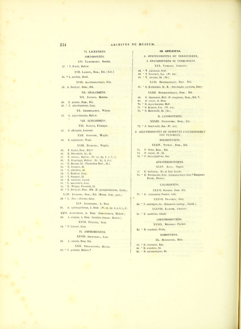 VI. LACEUT1ENS. COELODONTES. XVI. Tachydromus, Daudin. 37. * T. Fordii, Hallow. XVII. Lacerta, Duni., Bib. [Ciiv.] 38. ? L. ocellata, Daud. XVIII. ACANTHODACTYLUS, FilZ. 39. A. Savignyi, Dum., Bib. VII. CHALC1DIENS. XIX. Zonum's, Merrem. 40. Z. griseus, Dum., Bib. 41. ? Z. microlepidotus, Gray. XX. Gerrhosaurcs, Wiegm. 42. G. nigro-linealus, Hallow. VIII. SCINCOID1ENS. XXI. Scincus, Filzinger. .43. S- officinalis, Laurenti. XXII. Sphenops, Wagler. 44. S. capistratns, W'agl. XXIII. Euprepes, Wagler. 45. E. Coclei, Dum., Bib.? 46. E. Perroitetii, Id., ld. 47. E. strialus, Hallow. (Pl. xv, fig. 1, n, //, e). 48. E. Blaudingii, Hallow. (Id.. fig. 2, 2 a). 49. * E. Harlani, Id. (Piestiodon Hait, Id.) 50. * E. frenaïus, Id. 51. * E. albilabris, Id. 52. * E. Raddoni, Gray. 53. * E. Slangeri, Id. Si.  E. venusius, Girard. 55. • E. maculabris, Gray. 56. * E. (Tiliqua) Fernandi, Id. 57. 1 E. Savignyi, Dum., Bib. (E. quinquetainiatus, Licht.). XXIV. Lvgosoma, Dum., Bib. (Mocoa, Gray, part.). 58. * L. (Moc.) africana, Gray. XXV. Anisoteriia, A. Dam. 59. A. sphénopsiforme, A. Dum. ( Pl. xv, fig. 3, a, b, c, d). XXVI. Anelytrops, A. Dum. (Sphenorhina, Hallow.) 60. A. elegans, A. Dum. (Acontias elegans, Hallow.) XXVII. Fbthhia, Gray. Cl. * F. Currori, Gray. IX. AMPHISBÉNIENS. XXVIII. Amp9isb£na, Linn. A. leucura, Dum. Bib. 64. 65. 66. 68. 69. 70. 71. 72. 73. III. OPHiDIEKS. A. OPOTÉROOONTES OU VERMIFORMES, I. EPANODONTIENS OU TYPHLOPIENS. XXX. ïyphlops, Schneider. * T. maculalus, Scbl. * T. Troscheli, Jan. ( Pl. xix). * T. caBcatus, Id. (Id.). XXXI. Ophthauiidion, Dum., Bib. * 0. Eschrichtii, D., B. ( Onychophis punciala, Gray). XXXII. OiNychocephali's, Dum , Bib. 0. liberiensis. Hall. (0. congeslus, Dum., Bib.?). 0. cajeus, A. Dum. * 0. Digro-lineatus, Hall. ' 0 Kraussi, Jan. ( Pl. xix). 1 0. Hallowelli, ld. (Id.). II. CATODONTIENS. XXXIII. Stenostoma, Dum., Bib. k S. Sundevalli, Jan. (Pi. xix). 62 63. II. AGLYPHODONTES OU SERPENTS COLUBRIFORSIES NON VENIMEUX. HOLODONTIENS. XXXIV. Python, Dum., Bib. P. Sebaj, Dum., Bib. 74. 75. 76. XXIX. Phractoconus, Hallow. P. galeatus, Hallow.? P. regius, Id., ld. P. hieroglypbicus, Jan. APR0TÉR0D0NT1ENS. XXXV. Eryx, Oppell. 77. E tbebaicus, Ét. et Isid. Geofir. 78. * E. Reinliardtii,Scbl. (Calabaria fusca,Gray? Bhoplrura Reinli., Peters.) CALAMAR1ENS. XXXVI. Rabdion. Dum. Bib. 79. * B. (Calamaria) Pelersi, Sclil. XXXVII. ProsyhNÀ, Gray. 80. * P, meleagris, Gr. (Calamaria nieleagv., Reinh.). XXXVHI. Elapops, Gunllier. 81. * E. modeslus, Gûntb. CORYPHODONTIENS. XXXIX. Meizodon, Fischer. 82. * M. regularis, Fisch. ISODONTIENS. XL. Dendrophis, Boie. 83. * D. inornaïus, Jan. 84. * D.scandens,ld. 85. * D. melanostigma, Id.