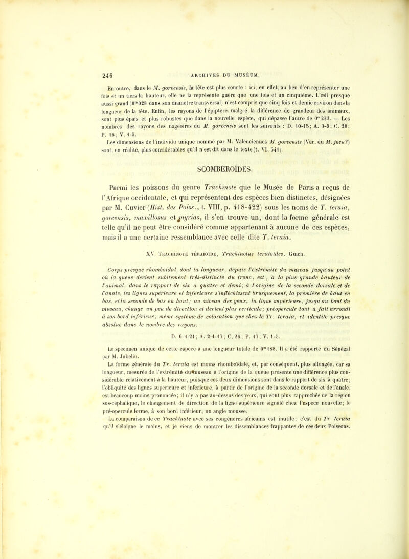 En outre, dans le M. goreensis, la tête est plus courte : ici, en effet, au lieu d'en représenter une fois et un tiers la hauteur, elle ne la représente guère que une lois et un cinquième. L'œil presque aussi grand (0m028 dans son diamètre transversal) n'est compris que cinq fois et demie environ dans la longueur de la tête. Enfin, les rayons de l'épiptère, malgré la différence de grandeur des animaux, sont plus épais et plus robustes que dans la nouvelle espèce, qui dépasse l'autre de 0ra222. — Les nombres des rayons des nageoires du M. goreensis sont les suivants : D. 10-15 ; A. 3-9; C. 20; P. 16; V. 1-5. Les dimensions de l'individu unique nommé par M. Valenciennes M. goreensis (Var. du M.jocu?) sont, en réalité, plus considérables qu'il n'est dit dans le texte (t. VI, 541). SCOMBÉROÏDES. Parmi les poissons du genre Trachinote que le Musée de Paris a reçus de l'Afrique occidentale, et qui représentent des espèces bien distinctes, désignées par M. Guvier (Hist. des Poiss., t. VIII, p. 418-422) sous les noms de T. teraia; goreensis, maxillosus et mynas, il s'en trouve un, dont la forme générale est telle qu'il ne peut être considéré comme appartenant à aucune de ces espèces, mais il a une certaine ressemblance avec celle dite T. teraia. XV. Trachinote téraioïde, Trachinotus teraioides, Guich. Corps presque rhomboïdal, dont la longueur, depuis l'extrémité du museau jusqu'au point où la queue devient subitement très-distincte du tronc, est, à la plus grande hauteur de l'animal, dans le rapport de six à quatre et demi; à l'origine de la seconde dorsale et de l'anale, les lignes supérieure et inférieure s'infléchissent brusquement, la première de haut en bas, et la seconde de bas en haut; au niveau des yeux, la ligne supérieure, jusqu'au bout du museau, change un peu de direction et devient plus verticale; préopercule tout à fait arrondi à son bord inférieur; même système de coloration que chez le Tr. teraia, et identité presque absolue dans le nombre des rayons. D. 6-1-21 ; A. 2-1-17; C.26; P. 17; V. 1-5. Le spécimen unique de cette espèce a une longueur totale de 0°M88. 11 a été rapporté du Sénégal par M. Jubelin. La forme générale du Tr. teraia est moins rhomboïdale, et, par conséquent, plus allongée, car sa longueur, mesurée de l'extrémité du^nuseau à l'origine de la queue présente une différence plus con- sidérable relativement à la hauteur, puisque ces deux dimensions sont dans le rapport de six à quatre; l'obliquité des lignes supérieure et inférieure, à partir de l'origine de la seconde dorsale et de l'anale, est beaucoup moins prononcée; il n'y a pas au-dessus des yeux, qui sont plus rapprochés de la région sus-céphalique, le changement de direction de la ligne supérieure signalé chez l'espèce nouvelle; le pré-opercule forme, à son bord inférieur, un angle mousse. La comparaison de ce Trachinote avec ses congénères africains est inutile; c'est du Tr. teraia qu'il s'éloigne le moins, et je viens de montrer les dissemblances frappantes de ces deux Poissons.