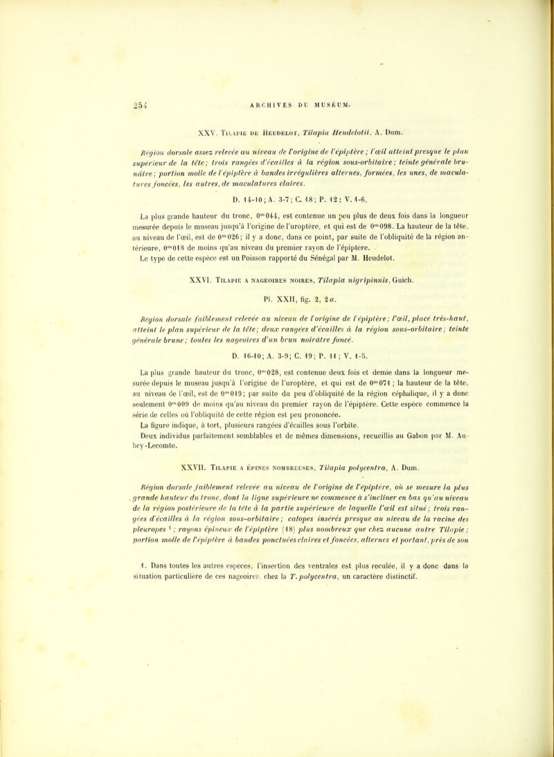 XXV. Tilapie de Heudelot, Tilapia Heudelotii, A. Dum. Région dorsale assez relevée au niveau de l'origine de l'épiptère ; l'œil atteint presque le plan supérieur de la tête; trois rangées d'écaillés à la région sous-orbitale; teinte générale bru- nâtre; portion molle de l'épiptère à bandes irrégulières alternes, formées, les unes, de macula- tures foncées, les autres, de maculatures claires. D. 14-10 ; A. 3-7; C. 48; P. 12; V. 1-6, La plus grande hauteur du tronc, 0m044, est contenue un peu plus de deux fois dans la longueur mesurée depuis le museau jusqu'à l'origine del'uroptère, et qui est de 0m098. La hauteur de la tête, au niveau de l'œil, est de 0m026; il y a donc, dans ce point, par suite de l'obliquité de la région an- térieure, 0m0t8 de moins qu'au niveau du premier rayon de l'épiptère. - Le type de cette espèce est un Poisson rapporté du Sénégal par M. Heudelot. XXVI. Tilapie a nageoires noires, Tilapia nigripinnis, Guich. Pl. XXII, fig. 2, 2a. Région dorsale faiblement relevée au niveau de l'origine de l'épiptère; l'œil, placé très-haut, atteint le plan supérieur de la tête; deux rangées d'écaillés à la région sous-orbitaire; teinte générale brune; toutes les nageoires d'un brun noirâtre foncé. D. 16-10; A. 3-9; C. 19; P. 11 ; V. 1-5. La plus grande hauteur du tronc, 0m028, est contenue deux fois et demie dans la longueur me- surée depuis le museau jusqu'à l'origine de l'uroptère, et qui est de 0m071 ; la hauteur de la tète, au niveau de l'œil, est de 0m019; par suite du peu d'obliquité de la région céphalique, il y a donc seulement 0m009 de moins qu'au niveau du premier rayon de l'épiptère. Cette espèce commence la série de celles où l'obliquité de cette région est peu prononcée. La figure indique, à tort, plusieurs rangées d'écaillés sous l'orbite. Deux individus parfaitement semblables et de mêmes dimensions, recueillis au Gabon par M. Au- bry-Lecomte. XXVII. Tilapie a épines nombreuses, Tilapia polycentra, A. Dum. Région dorsale faiblement relevée au niveau de l'origine de l'épiptère, où se mesure la plus grande hauteur du tronc, dont la ligne supérieure ne commence à s'incliner en bas qu'au niveau de la région postérieure de la tête à la partie supérieure de laquelle l'œil est situé; trois ran- gées d'écaillés à la région sous-orbitaire ; catopes insérés presque au niveau de la racine des pleuropes 1 ; rayons épineux de l'épiptère (18) plus nombreux que chez aucune autre Tilapie : portion molle de l'épiptère ci bandes ponctuées claires et foncées, alternes et portant, près de son 1. Dans toutes les autres espèces, l'insertion des ventrales est plus reculée, il y a donc dans la situation particulière de ces nageoires, chez la T.polycentra, un caractère distinctif.