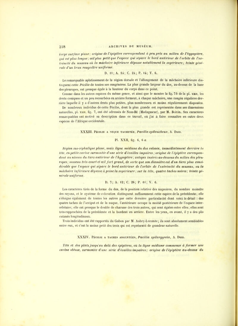 large surface plane; origine de l'épiptère correspondant à peu près au milieu de Vhypoptère, qui est plus longue; œil plus petit que l'espace qui sépare le bord antérieur de l'orbite de l'ex- trémité du museau où la mâchoire inférieure dépasse notablement la supérieure ; teinte géné- rale d'un brun rougeâtre uniforme. D. 11 ; A. 14; C. 24; P. 14; V. 6. Le remarquable aplatissement de la région dorsale et l'allongement de la mâchoire inférieure dis- tinguent cette Pécilie de toutes ses congénères. La plus grande largeur du dos, au-dessus de la base des pleuropes, est presque égale à la hauteur du corps dans ce point. Comme dans les autres espèces du même genre, et ainsi que le montre la fig. 1b de la pl. xxii, les dents coniques et un peu recourbées en arrière forment, à chaque mâchoire, une rangée régulière der- rière laquelle il y a d'autres dents plus petites, plus nombreuses et moins régulièrement disposées. De nombreux, individus de cette Pécilie, dont la plus grande est représentée dans ses dimensions naturelles, pl. xxn, fig. 7, ont été adressés de Noss-Bé (Madagascar), par M. Boivin. Ses caractères remarquables ont motivé sa description dans ce travail, où j'ai à faire connaître en outre deux espèces de l'Afrique occidentale. XXXIII. Pécilie a nuque tachetée, Pœciliaspilauchena, A. Dum. Pl. XXII, fig. 6, 6 a. Région sus-céphalique plane, tuais ligne médiane du dos relevée, immédiatement derrière la téte, en petite carène surmontée d'une série d'écaillés impaires ; origine de l'épiptère correspon- dant cm niveau du tiers antérieur de Vhypoptère ; catopes insérés au-dessous du milieu des pleu- ropes; museau très-court et œil fort grand, de sorte que son diamètre est d'un tiers plus consi- dérable que l'espace qui sépare le bord antérieur de l'orbite de l'extrémité du museau, où la mâchoire inférieure dépasse à peine la supérieure ; sur la téte, quatre taches noires; teinte gé- nérale uniforme. D. 7; A. 12; C. 26; P. 11 ; V. 6. Les caractères tirés de la forme du dos, de la position relative des nageoires, du nombre moindre des rayons, et le système décoloration distinguent suffisamment cette espèce de la précédente; elle s'éloigne également de toutes les autres par cette dernière particularité dont voici le détail : des quatre taches de l'occiput et de la nuque, l'antérieure occupe la moitié postérieure de l'espace inter- orbitaire; elle est presque le double de chacune des trois autres, qui sont égales entre elles; elles sont très-rapprochées de la précédente et la bordent en arrière. Entre les yeux, en avant, il y a des plis cutanés longitudinaux. Trois individus ont été rapportés du Gabon par M. Aubry-Lecomte ; ils sont absolument semblables entre eux, et c'est le moins petit des trois qui est représenté de grandeur naturelle. XXXIV. Pécilie a taches argentées, Pœcilia spilargyreia, A. Dum. Téte et dos plats jusqu'au delà des épiptères, où la ligne médiane commence à former une carène obtuse, surmontée d'une série d'écaillés impaires ; origine de l'épiptère au-dessus du