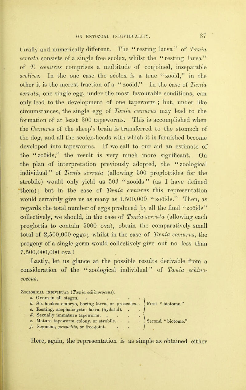 turally and numerically different. The  resting larva  of Tmnia serrata consists of a single free scolex, whilst the resting larva of T. coenurus comprises a multitude of conjoined, inseparable scolices. In the one case the scolex is a true zooid, in the other it is the merest fraction of a  zooid. In the case of Tcenia serrata, one single egg, under the most favourable conditions, can only lead to the development of one tapeworm ; but, under like circumstances, the single egg of Tcenia coenurus may lead to the formation of at least 300 tapeworms. This is accomplished when the Coenurus of the sheep's brain is transferred to the stomach of the dog, and all the scolex-heads with which it is furnished become developed into tapeworms. If we call to our aid an estimate of the zooids, the result is very much more significant. On the plan of interpretation previously adopted, the zoological individual of Tcenia serrata (allowing 500 proglottides for the strobile) would only yield us 503  zooids  (as I have defined *them); but in the case of Tcenia coenurus this representation would certainly give us as many as 1,500,000  zooids. Then, as regards the total number of eggs produced by all the final zooids collectively, we should, in the case of Tcenia serrata (allowing each proglottis to contain 5000 ova), obtain the comparatively small total of 2,600,000 eggs; whilst in the case of Tcenia coe.nurus, the progeny of a single germ would collectively give out no less than 7,600,000,000 ova! ^ Lastly, let us glance at the possible results derivable from a consideration of the  zoological individual of Tcenia ecliino- coccus. Zoological individual {Toenia echinococciis). a. Ovum in all stages \ b. Six-hooked embryo, boring larva, or proscolex.. '. First  biotome. c. Resting, acephalocystic larva (hydatid). . . j d. Sexually immature tapeworm \ e. Mature tapeworm colony, or strobile.. , . ' Second  biotome. /. Segment, proglottis, or free-joint. . . . ) Here, again, the representation is as simple as obtained either