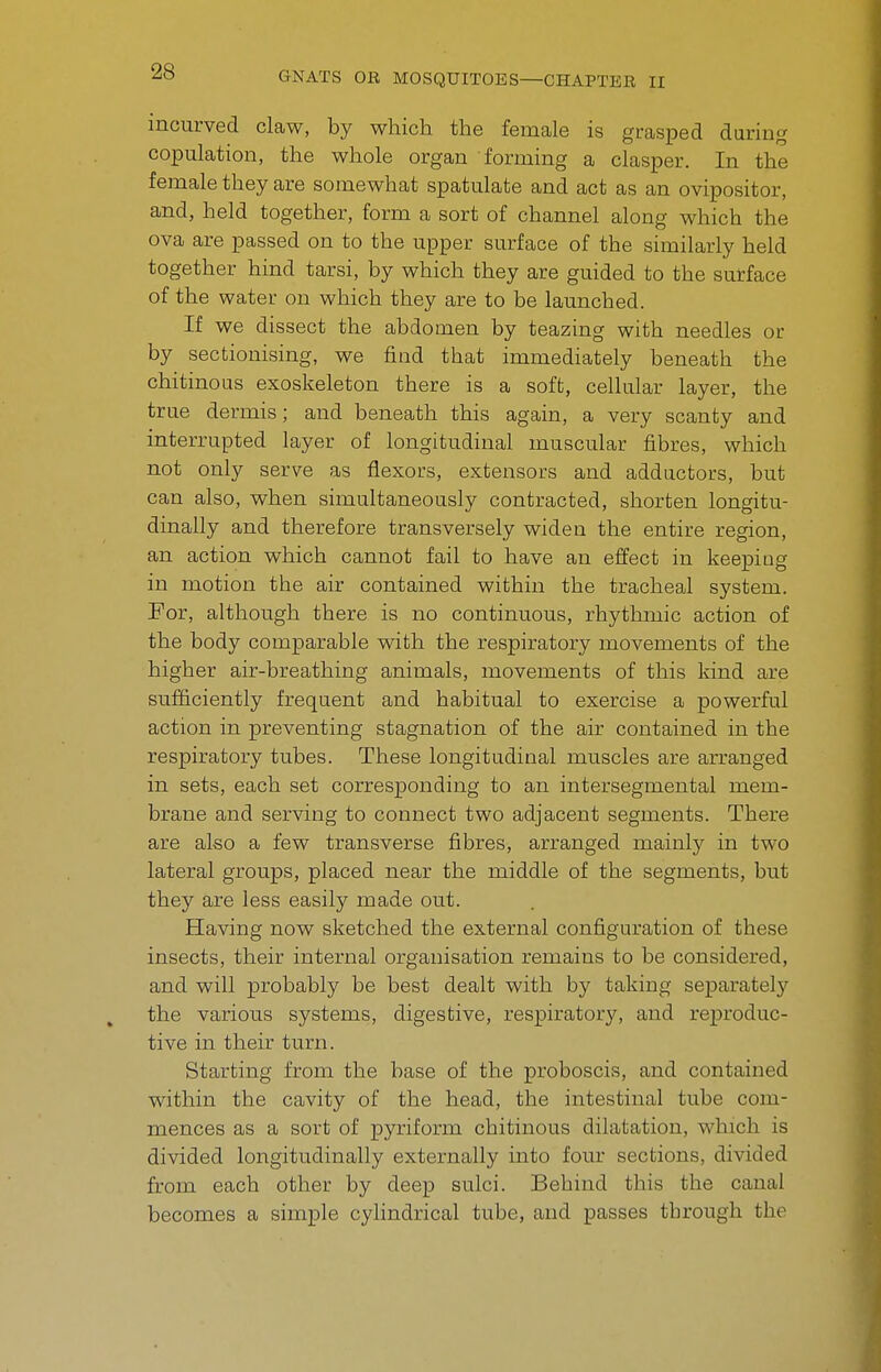 incurved claw, by which the female is grasped during copulation, the whole organ forming a clasper. In the female they are somewhat spatulate and act as an ovipositor, and, held together, form a sort of channel along which the ova are passed on to the upper surface of the similarly held together hind tarsi, by which they are guided to the surface of the water on which they are to be launched. If we dissect the abdomen by teazing with needles or by sectionising, we find that immediately beneath the chitinous exoskeleton there is a soft, cellular layer, the true dermis; and beneath this again, a very scanty and interrupted layer of longitudinal muscular fibres, which not only serve as flexors, extensors and adductors, but can also, when simultaneously contracted, shorten longitu- dinally and therefore transversely widen the entire region, an action which cannot fail to have an effect in keeping in motion the air contained within the tracheal system. For, although there is no continuous, rhythmic action of the body comparable vnth the respiratory movements of the higher air-breathing animals, movements of this kind are sufficiently frequent and habitual to exercise a powerful action in preventing stagnation of the air contained in the respiratory tubes. These longitudinal muscles are arranged in sets, each set corresponding to an intersegmental mem- brane and serving to connect two adjacent segments. There are also a few transverse fibres, arranged mainly in two lateral groups, placed near the middle of the segments, but they are less easily made out. Having now sketched the external configuration of these insects, their internal organisation remains to be considered, and will probably be best dealt with by taking separately the various systems, digestive, respiratory, and reproduc- tive in their turn. Starting from the base of the proboscis, and contained within the cavity of the head, the intestinal tube com- mences as a sort of pyriform chitinous dilatation, which is divided longitudinally externally into four sections, divided from each other by deep sulci. Behind this the canal becomes a simple cylindrical tube, and passes tbrough the