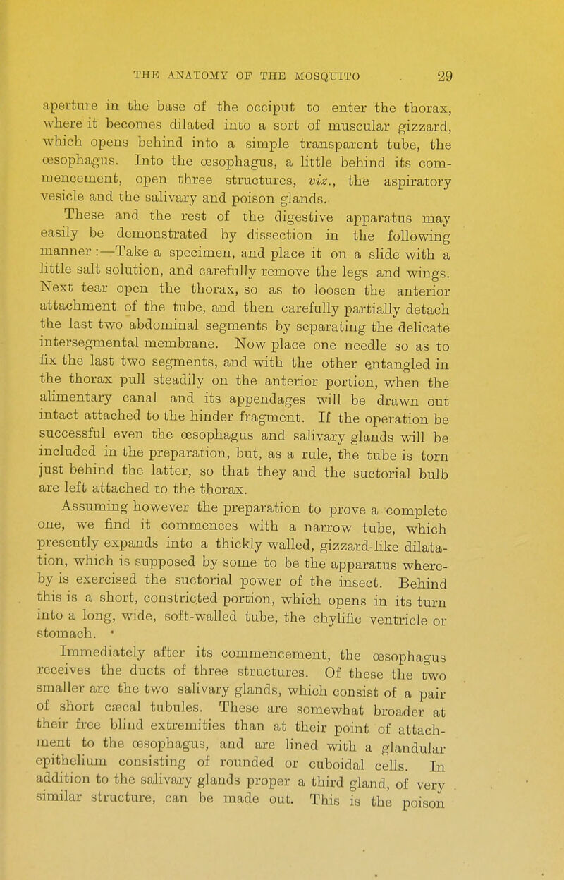 aperture in the base of the occiput to enter the thorax, where it becomes dilated into a sort of muscular gizzard, which opens behind into a simple transparent tube, the oesophagus. Into the oesophagus, a httle behind its com- mencement, open three structures, viz., the aspiratory vesicle and the salivary and poison glands. These and the rest of the digestive apparatus may easily be demonstrated by dissection in the following manner :—Take a specimen, and place it on a shde with a little salt solution, and carefully remove the legs and wings. Next tear open the thorax, so as to loosen the anterior attachment of the tube, and then carefully partially detach the last two abdominal segments by separating the delicate intersegmental membrane. Now place one needle so as to fix the last two segments, and with the other entangled in the thorax pull steadily on the anterior portion, when the alimentary canal and its appendages will be drawn out intact attached to the hinder fragment. If the operation be successful even the oesophagus and salivary glands will be included in the preparation, but, as a rule, the tube is torn just behind the latter, so that they and the suctorial bulb are left attached to the thorax. Assuming however the preparation to prove a complete one, we find it commences with a narrow tube, which presently expands into a thickly walled, gizzard-like dilata- tion, which is supposed by some to be the apparatus where- by is exercised the suctorial power of the insect. Behind this is a short, constricted portion, which opens in its turn into a long, wide, soft-walled tube, the chyhfic ventricle or stomach. • Immediately after its commencement, the oesophagus receives the ducts of three structures. Of these the two smaller are the two salivary glands, which consist of a pair of short caBcal tubules. These are somewhat broader at their free blind extremities than at their point of attach- ment to the oesophagus, and are fined with a glandular epithehum consisting of rounded or cuboidal cells. In addition to the salivary glands proper a third gland, of very similar structure, can be made out. This is the poison