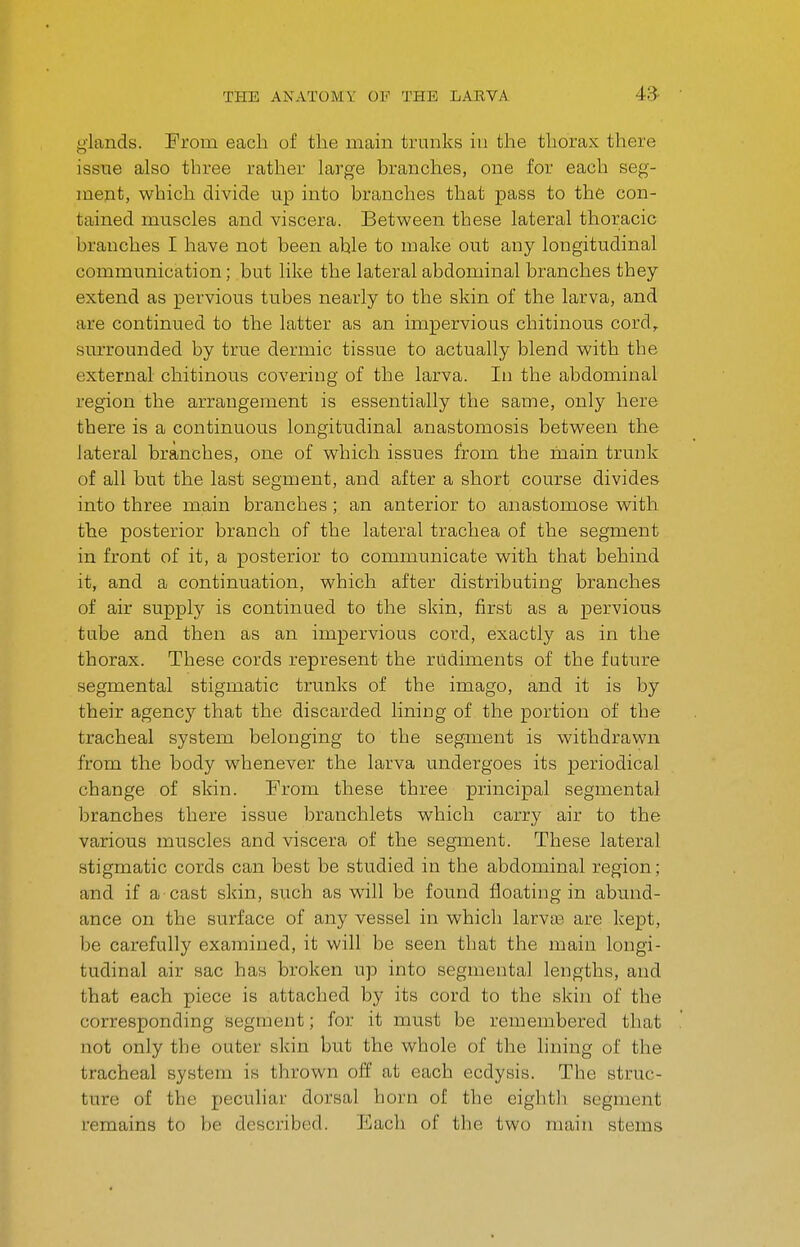glands. From each of tlie main trunks in the thorax there issue also three rather large branches, one for each seg- ment, which divide up into branches that pass to the con- tained muscles and viscera. Between these lateral thoracic branches I have not been able to make out any longitudinal communication; but like the lateral abdominal branches they extend as pervious tubes nearly to the skin of the larva, and are continued to the latter as an impervious chitinous cord, surrounded by true dermic tissue to actually blend with the external chitinous covering of the larva. In the abdominal region the arrangement is essentially the same, only here there is a continuous longitudinal anastomosis between the lateral branches, one of which issues from the main trunk of all but the last segment, and after a short course divides into three main branches ; an anterior to anastomose with the posterior branch of the lateral trachea of the segment in front of it, a posterior to communicate with that behind it, and a continuation, which after distributing branches of air supply is continued to the skin, first as a pervious tube and then as an impervious cord, exactly as in the thorax. These cords represent the rudiments of the future segmental stigmatic trunks of the imago, and it is by their agency that the discarded lining of the portion of the tracheal system belonging to the segment is withdrawn from the body whenever the larva undergoes its periodical change of skin. From these three principal segmental branches there issue branchlets which carry air to the various muscles and viscera of the segment. These lateral stigmatic cords can best be studied in the abdominal region ; and if a cast skin, such as will be found floating in abund- ance on the surface of any vessel in which larva3 are kept, be carefully examined, it will be seen that the main longi- tudinal air sac has broken up into segmental lengths, and that each piece is attached by its cord to the skin of the corresponding segment; for it must be remembered that not only the outer slcin but the whole of the lining of the tracheal system is thrown off at each ecdysis. The struc- ture of the peculiar dorsal horn of the eighth segment remains to be described. Each of the two main stems