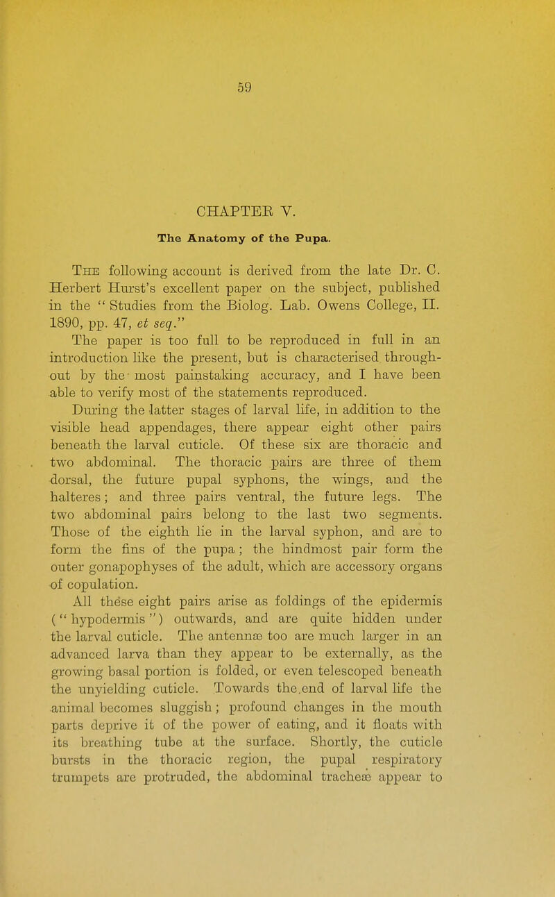 CHAPTEE V. The Anatomy of the Pupa. The following account is derived from the late Dr. C. Herbert Hurst's excellent paper on the subject, published in the  Studies from the Biolog. Lab. Owens College, 11. 1890, pp. 47, et seq. The paper is too full to be reproduced in full in an introduction like the present, but is characterised through- out by the - most painstaking accuracy, and I have been able to verify most of the statements reproduced. During the latter stages of larval life, in addition to the visible head appendages, there appear eight other pairs beneath the larval cuticle. Of these six are thoracic and two abdominal. The thoracic pairs are three of them dorsal, the future pupal syphons, the wings, and the halteres; and three pairs ventral, the future legs. The two abdominal pairs belong to the last two segments. Those of the eighth lie in the larval syphon, and are to form the fins of the pupa; the hindmost pair form the outer gonapophyses of the adult, which are accessory organs of copulation. All these eight pairs arise as foldings of the epidermis (  hypodermis ) outwards, and are quite hidden under the larval cuticle. The antennae too are much larger in an ■advanced larva than they appear to be externally, as the growing basal portion is folded, or even telescoped beneath the unyielding cuticle. Towards the.end of larval life the animal becomes sluggish; profound changes in the mouth parts deprive it of tbe power of eating, and it floats with its breathing tube at the surface. Shortly, the cuticle bursts in the thoracic region, the pupal respiratory trumpets are protruded, the abdominal trachete appear to