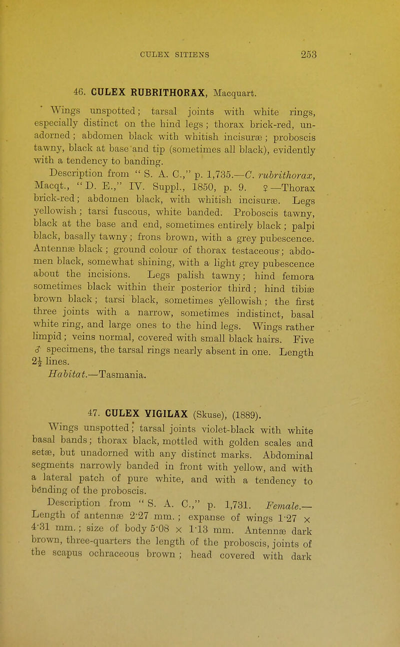 46. CULEX RUBRITHORAX, Macquart. Wings unspotted; tarsal joints with white rings, especially distinct on the hind legs; thorax brick-red, un- adorned ; abdomen black with whitish incisurse ; proboscis tawny, black at base and tip (sometimes all black), evidently with a tendency to banding. Description from  S. A. C, p. 1,735.—C. rubrithorax, Macqt., D. E., IV. Suppl., 1850, p. 9. ?—Thorax brick-red; abdomen black, with whitish incisurse. Legs yellowish; tarsi fuscous, white banded. Proboscis tawny, black at the base and end, sometimes entirely black; palpi black, basally tawny; frons brown, with a grey pubescence. Antenna black ; ground colour of thorax testaceous-; abdo- men black, somewhat shining, with a light grey pubescence about the incisions. Legs pahsh tawny; hind femora sometimes black within their posterior third ; hind tibise brown black; tarsi black, sometimes yellowish; the first three joints with a narrow, sometimes indistinct, basal white ring, and large ones to the hind legs. Wings rather limpid; veins normal, covered with small black hairs. Five ^ specimens, the tarsal rings nearly absent in one. Length 2^ lines. Habitat.—Tasmania. 47. CULEX YIGILAX (Skuse), (1889). Wings unspotted; tarsal joints violet-black with white basal bands; thorax black, mottled with golden scales and setae, but unadorned with any distinct marks. Abdominal segments narrowly banded in front with yellow, and with a lateral patch of pure white, and with a tendency to binding of the proboscis. Description from  S. A. C, p. 1,731. Female.— Length of antennae 2-27 mm. ; expanse of wings 1-27 x 4-31 mm.; size of body 5-08 x 1-13 mm. Antennte dark brown, three-quarters the length of the proboscis, joints of the scapus ochraceous brown ; head covered with dark