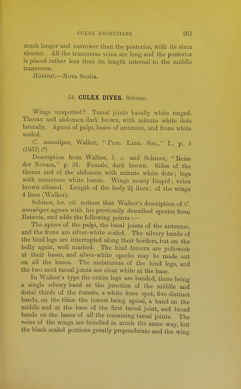 much longer and narrower than the posterior, with its stem shorter. All the transverse veins are long and the posterior is placed rather less than its length internal to the middle transverse. Habitat.—Nova Scotia. 54. CULEX DIYES, Schiner. Wings unspotted? Tarsal joints basally white ringed. Thorax and abdomen dark brown, with minute white dots laterally. Apices of palpi, bases of antennae, and frons white scaled. G. annulipes, Walker, Proc. Linn. Soc, I., p. o (1857) (?) Description from Walker, I. c. and Schiner, Eeise der Novara, p. 31. Female, dark brown. Sides of the thorax and of the abdomen with minute white dots; legs with numerous white bands. Wings nearly limpid; veins brown ciliated. Length of the body 2^ lines; of the wings 4 lines (Walker). Schiner, loc. cit. notices that Walker's description of G. annulipes agrees with his previously described species from Batavia, and adds the following points :— The apices of the palpi, the basal joints of the antennse, and the frons are silver-white scaled. The silvery bands of the hind legs are interrupted along their borders, but on the belly again, well marked. The hind femora are yellowish at their bases, and silver-white specks may be made out on all the knees. The metatarsus of the hind legs, and the two next tarsal joints are clear white at the base. In Walker's type the entire legs are banded, there being a single silvery band at the junction of the middle and distal thirds of the femora, a white knee spot, five distinct bands, on the tibiae the lowest being apical, a band on the middle and at the base of the first tarsal joint, and broad bands on the bases of all the remaining tarsal joints. The veins of the wings are brindled in much the same way, but the black scaled portions greatly preponderate and the wine