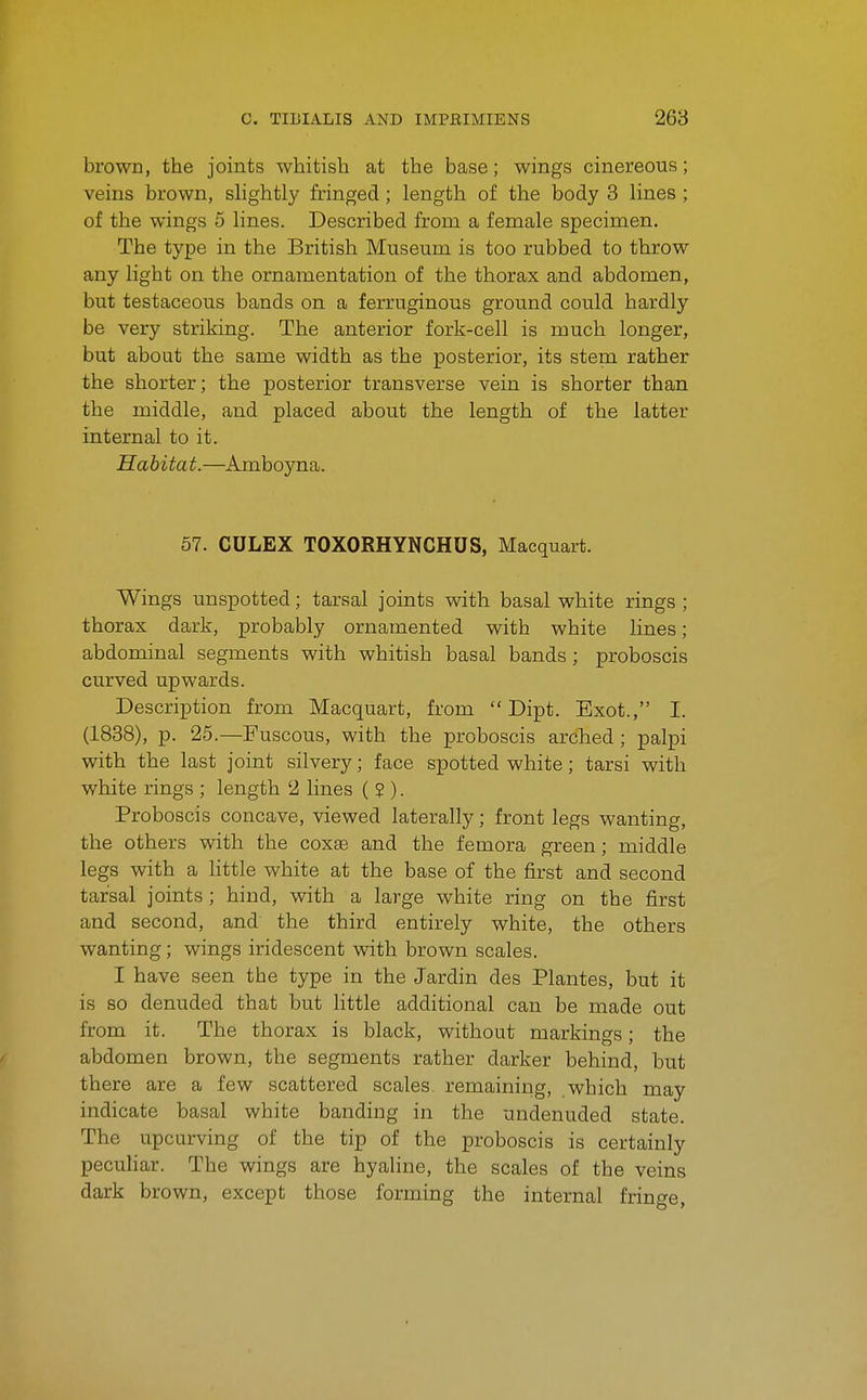 brown, the joints whitish at the base; wings cinereous; veins brown, shghtly fringed; length of the body 3 lines ; of the wings 5 lines. Described from a female specimen. The type in the British Museum is too rubbed to throw any light on the ornamentation of the thorax and abdomen, but testaceous bands on a ferruginous ground could hardly be very striking. The anterior fork-cell is much longer, but about the same width as the posterior, its stem rather the shorter; the posterior transverse vein is shorter than the middle, and placed about the length of the latter internal to it. Habitat.—Amboyna. 57. CULEX TOXORHYNCHUS, Macquart. Wings unspotted; tarsal joints with basal white rings ; thorax dark, probably ornamented with white lines; abdominal segments with whitish basal bands ; proboscis curved upwards. Description from Macquart, from  Dipt. Exot., I. (1888), p. 25.—Fuscous, with the proboscis arched ; palpi with the last joint silvery; face spotted white; tarsi with white rings ; length 2 lines ( $ ). Proboscis concave, viewed laterally; front legs wanting, the others with the coxee and the femora green; middle legs with a little white at the base of the first and second tarsal joints ; hind, with a large white ring on the first and second, and the third entirely white, the others wanting; wings iridescent with brown scales. I have seen the type in the Jardin des Plantes, but it is so denuded that but little additional can be made out from it. The thorax is black, without markings; the abdomen brown, the segments rather darker behind, but there are a few scattered scales remaining, which may indicate basal white banding in the undenuded state. The upcurving of the tip of the proboscis is certainly pecuHar. The wings are hyaline, the scales of the veins dark brown, except those forming the internal fringe.