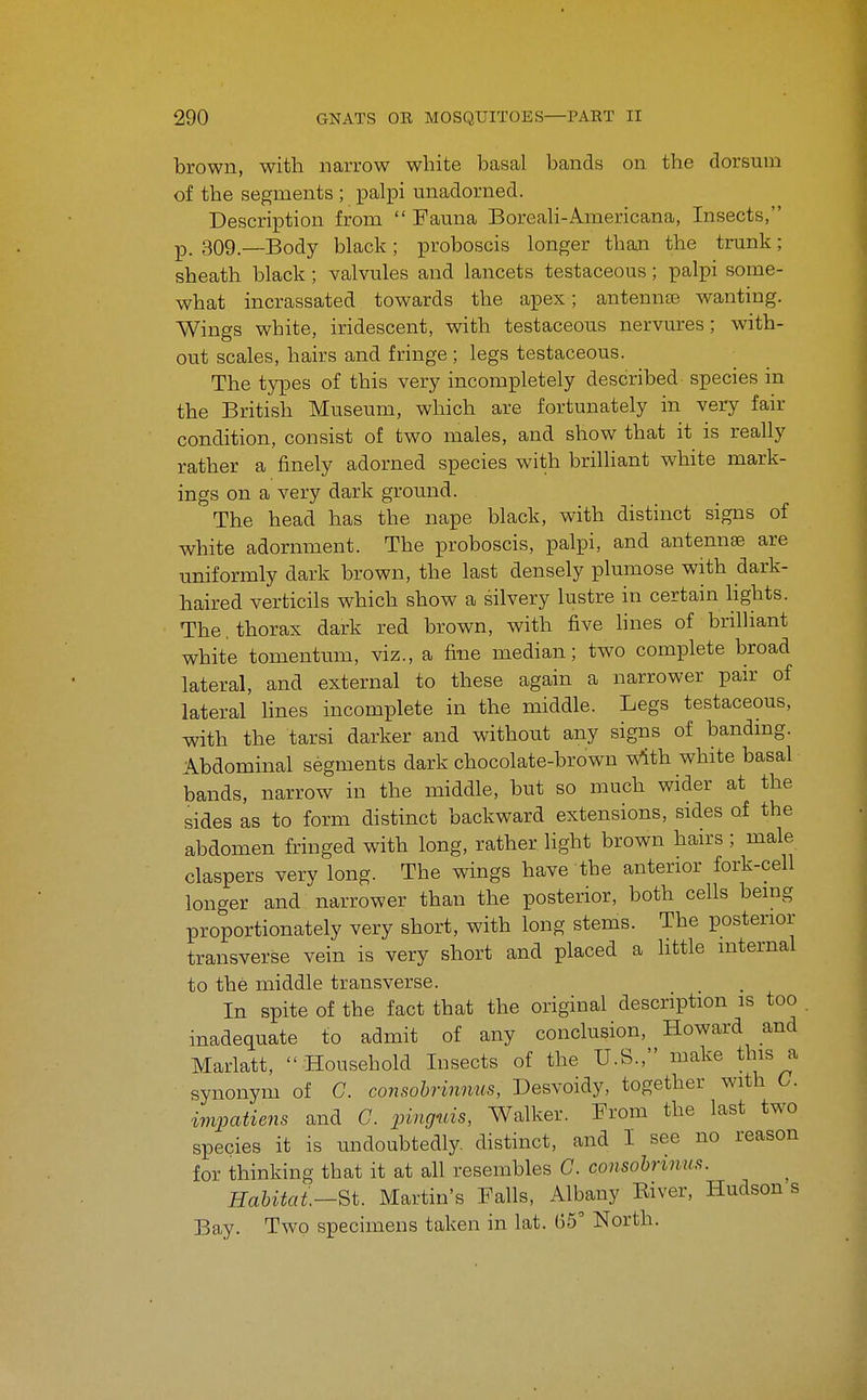 brown, with narrow white basal bands on the dorsum of the segments ; palpi unadorned. Description from  Fauna Boreali-Americana, Insects, p_ 309.—Body black ; proboscis longer than the trunk ; sheath black ; valvules and lancets testaceous; palpi some- what incrassated towards the apex; antenna wanting. Wings white, iridescent, with testaceous nervures; with- out scales, hairs and fringe ; legs testaceous. The types of this very incompletely described species in the British Museum, which are fortunately in very fair condition, consist of two males, and show that it is really rather a finely adorned species with brilliant white mark- ings on a very dark ground. The head has the nape black, with distinct signs of white adornment. The proboscis, palpi, and antennae are uniformly dark brown, the last densely plumose with dark- haired verticils which show a silvery lustre in certain Hghts. The, thorax dark red brown, with five hnes of brilliant white tomentum, viz., a fine median; two complete broad lateral, and external to these again a narrower pair of lateral lines incomplete in the middle. Legs testaceous, with the tarsi darker and without any signs of bandmg. Abdominal segments dark chocolate-brown ^^^th white basal bands, narrow in the middle, but so much wider at the sides as to form distinct backward extensions, sides of the abdomen fringed with long, rather light brown hairs ; male claspers very long. The wings have the anterior fork-cell longer and narrower than the posterior, both cells bemg proportionately very short, with long stems. The posterior transverse vein is very short and placed a little internal to the middle transverse. In spite of the fact that the original description is too inadequate to admit of any conclusion, Howard and Marlatt,  Household Insects of the U.S., make this a synonym of C. consobrinnus, Desvoidy, together with C. impatiens and G. pingms, Walker. From the last two species it is undoubtedly distinct, and I see no reason for thinking that it at all resembles C consobrinus. Habitat—St. Martin's Falls, Albany River, Hudson s Bay. Two specimens taken in lat. (35' North.