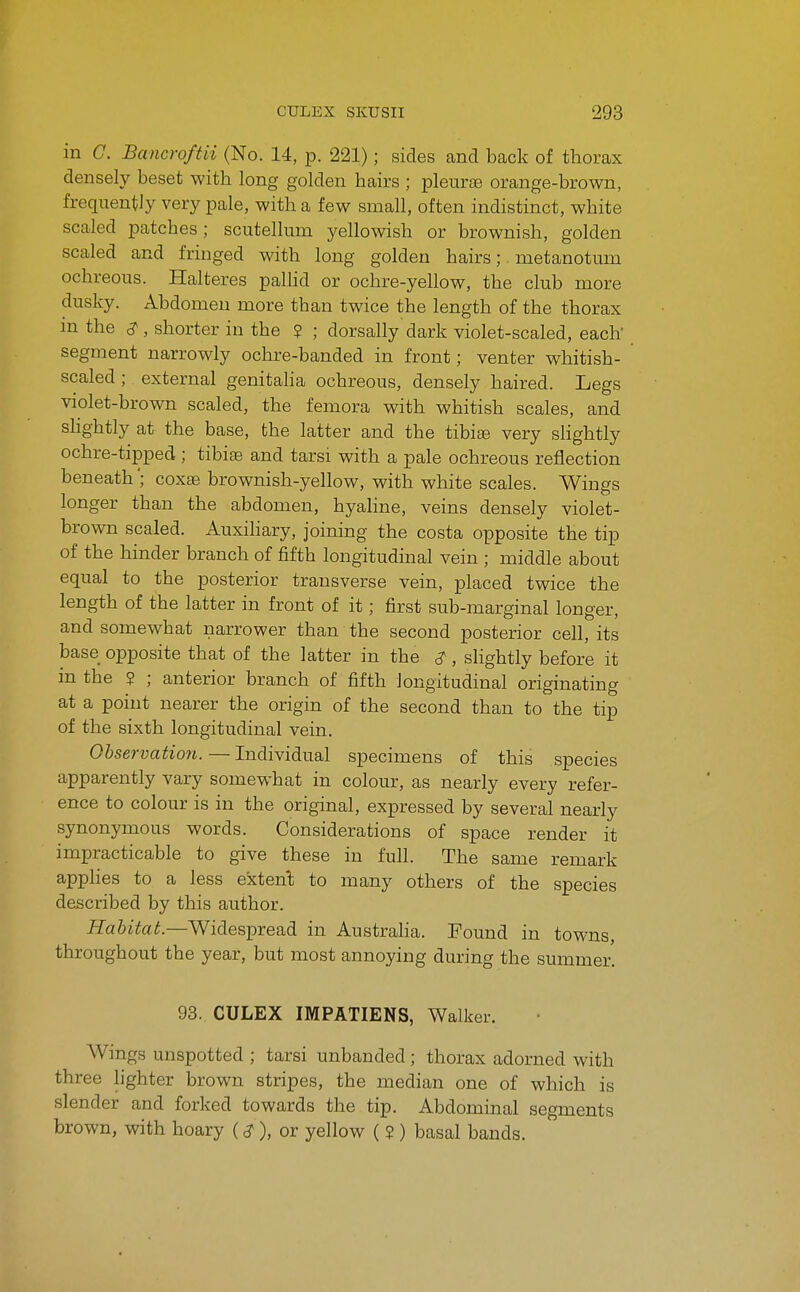 in G. Bancroftii (No. 14, p. 221); sides and back of thorax densely beset with long golden hairs ; pleurae orange-brown, frequently very pale, with a few small, often indistinct, white scaled patches; scutellum yellowish or brownish, golden scaled and fringed with long golden hairs;. metanotum ochreous. Halteres pallid or ochre-yellow, the club more dusky. Abdomen more than twice the length of the thorax m the ^ , shorter in the ? ; dorsally dark violet-scaled, each segment narrowly ochre-banded in front; venter whitish- scaled ; external genitalia ochreous, densely haired. Legs violet-brown scaled, the femora with whitish scales, and slightly at the base, the latter and the tibiae very slightly ochre-tipped; tibiae and tarsi with a pale ochreous reflection beneath; coxae brownish-yellow, with white scales. Wings longer than the abdomen, hyaline, veins densely violet- brown scaled. Auxihary, joining the costa opposite the tip of the hinder branch of fifth longitudinal vein ; middle about equal to the posterior transverse vein, placed twice the length of the latter in front of it; first sub-marginal longer, and somewhat narrower than the second posterior cell, its base opposite that of the latter in the ^, slightly before it m the ? ; anterior branch of fifth longitudinal originating at a point nearer the origin of the second than to the tip of the sixth longitudinal vein. Observation. — Individual specimens of this species apparently vary somewhat in colour, as nearly every refer- ence to colour is in the original, expressed by several nearly synonymous words. Considerations of space render it impracticable to give these in full. The same remark apphes to a less extent to many others of the species described by this author. Habitat.—Widespread in Austraha. Found in towns, throughout the year, but most annoying during the summer. 93. CULEX IMPATIENS, Walker. Wings unspotted ; tarsi unhanded; thorax adorned with three hghter brown stripes, the median one of which is slender and forked towards the tip. Abdominal segments brown, with hoary (), or yellow ( ? ) basal bands.