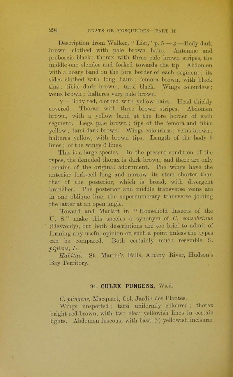 Description from Walker,  List, p. 5.— ^—Body dark brown, clothed with pale brown hairs. Antennae and proboscis black; thorax with three pale brown stripes, the middle one slender and forked towards the tip. Abdomen with a hoary band on the fore border of each segment; its sides clothed with long hairs ; femora brown, with black tips ; tibise dark brown ; tarsi black. Wings colourless; veins brown ; halteres very pale brown. 2 —Body red, clothed with yellow hairs. Head thickly covered. Thorax with three brown stripes. Abdomen brown, with a yellow band at the fore border of each segment. Legs pale brown ; tips of the femora and tibise yellow; tarsi dark brown. Wings colom^less ; veins brown; halteres yellow, with brown tips. Length of the body 3 lines ; of the wings 6 lines. This is a large species. In the present condition of the types, the denuded thorax is dark brown, and there are only remains of the original adornment. The wings have the anterior fork-cell long and narrow, its stem shorter than that of the posterior, which is broad, with divergent branches. The posterior and middle transverse veins are in one oblique line, the supernumerary transverse joining the latter at an open angle. Howard and Marlatt in  Household Insects of the U. S. make this species a synonym of C. consobrinus (Desvoidy), but both descriptions are too brief to admit of forming any useful opinion on such a point unless the tj-pes can be compared. Both certainly much resemble C. pipie7is, L. Habitat.—St. Martin's Falls, Albany Eiver, Hudson's Bay Territory. 94. CULEX PUNGENS, Wied. C. ptingens, Macquart, Col. Jardin des Plantes. Wings unspotted; tarsi uniformly coloured; thorax bright red-brown, with two clear yellowish lines in certain Hghts. Abdomen fuscous, with basal (?) yellowish incisuras.