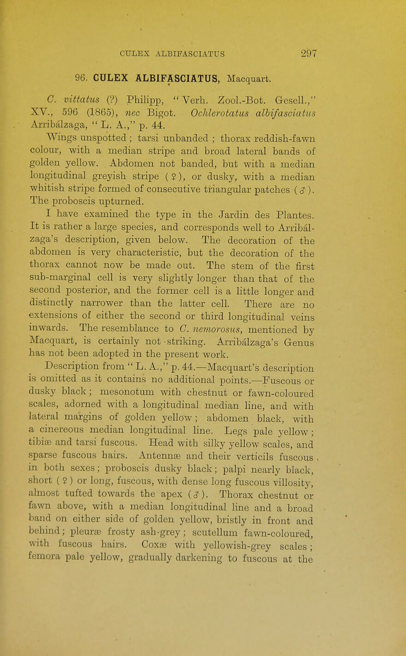 96. CULEX ALBIFASCIATUS, Macquart. G. vittatus (?) Philipp,  Verh. Zool.-Bot. GeselL, XV., 596 (1865), nec Bigot. Ochlerotatiis albifasciatus Arribcllzaga,  L. A., p. 44. Wings unspotted ; tarsi unhanded ; thorax reddish-fawn colour, with a median stripe and broad lateral bands of golden yellow. Abdomen not handed, hut with a median longitudinal greyish stripe ( 5), or dusky, with a median whitish stripe formed of consecutive triangular patches {^). The proboscis upturned. I have examined the type in the Jardin des Plantes. It is rather a large species, and corresponds well to Arribal- zaga's description, given below. The decoration of the abdomen is very characteristic, but the decoration of the thorax cannot now be made out. The stem of the first sub-marginal cell is very slightly longer than that of the second posterior, and the former cell is a little longer and distinctly narrower than the latter cell. There are no extensions of either the second or third longitudinal veins inwards. The resemblance to C. nemorosiis, mentioned by Macquart, is certainly not • striking. Arribalzaga's Genus has not been adopted in the present work. Description from  L. A., p. 44.—Macquart's description is omitted as it contains no additional points.—Fuscous or dusky black; mesonotum with chestnut or fawn-coloured scales, adorned with a longitudinal median hne, and with lateral margins of golden yellow; abdomen black, with a cinereous median longitudinal line. Legs pale yellow; tibiae and tarsi fuscous. Head with silky yellow scales, and sparse fuscous hairs. Antennae and their verticils fuscous . in both sexes; proboscis dusky black; palpi nearly black, short (?) or long, fuscous, with dense long fuscous villosity, almost tufted towards the apex (<?). Thorax chestnut or fawn above, with a median longitudinal line and a broad band on either side of golden yellow, bristly in front and behind; pleurae frosty ash-grey; scutellum fawn-coloured, with fuscous hairs. Coxae with yellowish-grey scales; femora pale yellow, gradually darkening to fuscous at the