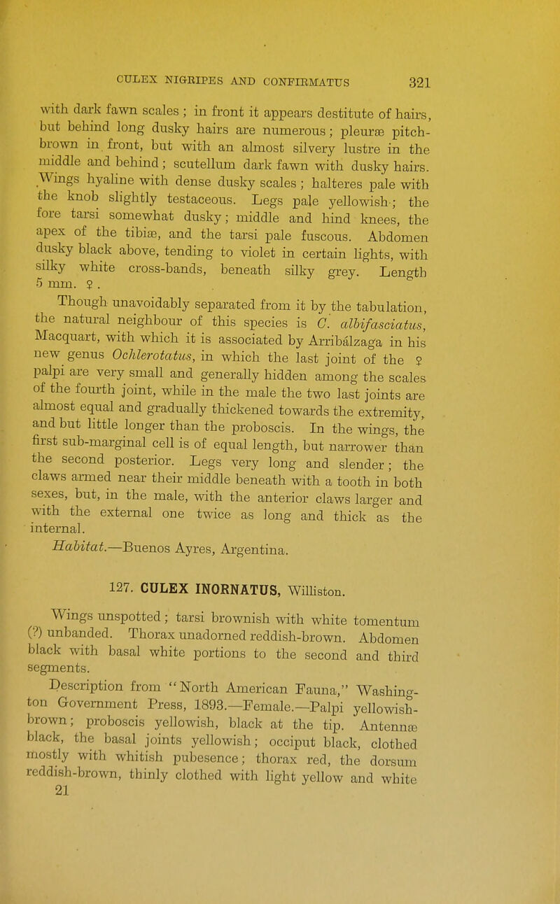 with dark fawn scales ; in front it appears destitute of hairs, but behind long dusky hairs are numerous; pleurte pitch- brown in front, but with an almost silvery lustre in the middle and behind ; scutellum dark fawn with dusky hairs. Wings hyaHne with dense dusky scales ; halteres pale with the knob slightly testaceous. Legs pale yellowish-; the fore tarsi somewhat dusky; middle and hind knees, the apex of the tibite, and the tarsi pale fuscous. Abdomen dusky black above, tending to violet in certain lights, with silky white cross-bands, beneath silky grey. Length 5 mm. ? . Though unavoidably separated from it by the tabulation, the natm-al neighbour of this species is C'. alhifasciatus, Macquart, with which it is associated by Arribalzaga in his new^ genus Ochlerotatus, in which the last joint of the $ palpi are very small and generally hidden among the scales of the fourth joint, while in the male the two last joints are almost equal and gradually thickened towards the extremity, and but little longer than the proboscis. In the wings, the first sub-marginal cell is of equal length, but narrower than the second posterior. Legs very long and slender; the claws armed near their middle beneath with a tooth in both sexes, but, in the male, with the anterior claws larger and with the external one twice as long and thick as the internal. Habitat.—BuQuoB Ayres, Argentina. 127. CULEX INORNATUS, Williston. Wings unspotted; tarsi brownish with white tomentum (?) unhanded. Thorax unadorned reddish-brown. Abdomen black with basal white portions to the second and third segments. Description from North American Fauna, Washing- ton Government Press, 1893.—Female.—Palpi yellowish- brown; proboscis yellowish, black at the tip. Antennre black, the basal joints yellowish; occiput black, clothed mostly with whitish pubesence; thorax red, the dorsum reddish-brown, thinly clothed with hght yellow and white 21