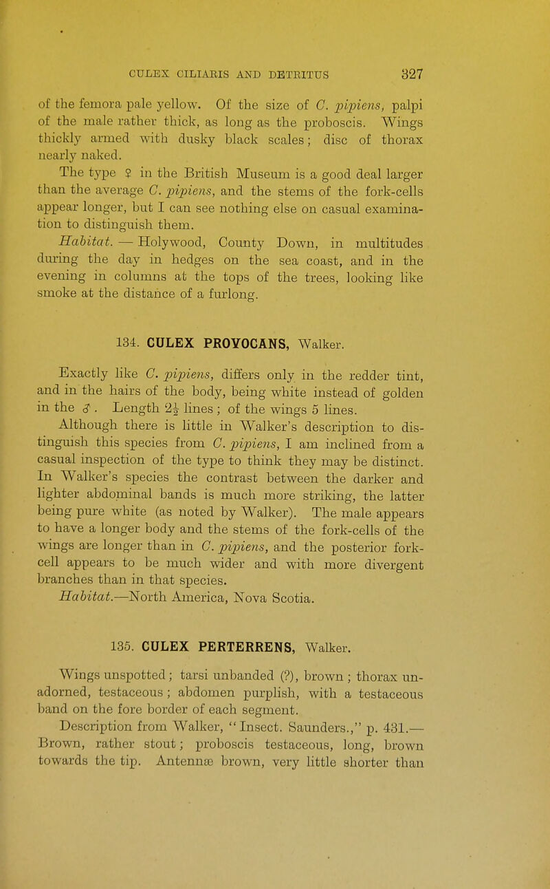 of the femora pale yellow. Of the size of C. pipiens, palpi of the male rather thick, as long as the proboscis. Wings thickly armed with dusky black scales; disc of thorax nearly naked. The type ? in the British Museum is a good deal larger than the average C. pipiens, and the stems of the fork-cells appear longer, but I can see nothing else on casual examina- tion to distinguish them. Habitat. — Holywood, County Down, in multitudes during the day in hedges on the sea coast, and in the evening in columns at the tops of the trees, looking like smoke at the distance of a furlong. 134. CULEX PROYOCANS, Walker. Exactly like G. pipiens, differs only in the redder tint, and in the hairs of the body, being white instead of golden in the . Length 2i hnes ; of the wings 5 lines. Although there is little in Walker's description to dis- tinguish this species from G. pipiens, I am inclined from a casual inspection of the type to think they may be distinct. In Walker's species the contrast between the darker and lighter abdominal bands is much more striking, the latter being pure white (as noted by Walker). The male appears to have a longer body and the stems of the fork-cells of the wings are longer than in G. pipiens, and the posterior fork- cell appears to be much wider and with more divergent branches than in that species. Habitat.—North America, Nova Scotia. 135. CULEX PERTERRENS, Walker. Wings unspotted; tarsi unbanded (?), brown ; thorax un- adorned, testaceous ; abdomen purplish, with a testaceous band on the fore border of each segment. Description from Walker, Insect. Saunders., p. 431.— Brown, rather stout; proboscis testaceous, long, brown towards the tip. Antennse brown, very little shorter than