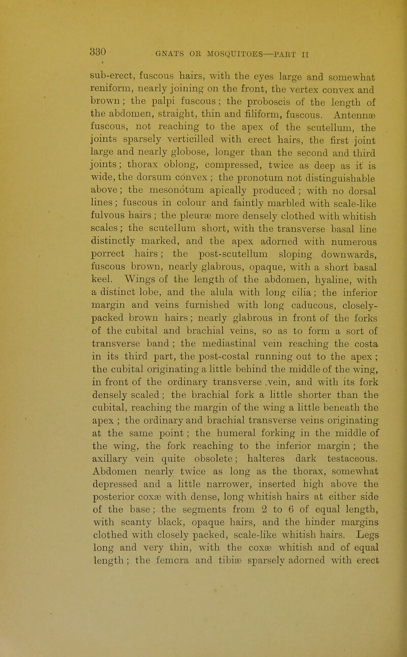 sub-erect, fuscous hairs, with the eyes large and somewhat reniform, nearly joining on the front, the vertex convex and brown ; the palpi fuscous ; the proboscis of the length of the abdomen, straight, thin and filiform, fuscous. Antennse fuscous, not reaching to the apex of the sciitellum, the joints sparsely verticilled with erect hairs, the first joint large and nearly globose, longer than the second and third joints; thorax obJong, compressed, twice as deep as it is wide, the dorsum convex ; the pronotum not distinguishable above; the mesonotum apically produced ; with no dorsal lines; fuscous in colour and faintly marbled with scale-like fulvous hairs ; the pleurae more densely clothed with whitish scales; the scutellum short, with the transverse basal line distinctly marked, and the apex adorned with numerous porrect hairs; the post-scutellum sloping downwards, fuscous brown, nearly glabrous, opaque, with a short basal keel. Wings of the length of the abdomen, hyaline, with a distinct lobe, and the alula with long cilia; the inferior margin and veins furnished with long caducous, closely- packed brown hairs; nearly glabrous in front of the forks of the cubital and brachial veins, so as to form a sort of transverse band ; the mediastinal vein reaching the costa in its third part, the post-costal running out to the apex ; the cubital originating a little behind the middle of the wing, in front of the ordinary transverse .vein, and with its fork densely scaled ; the brachial fork a little shorter than the cubital, reaching the margin of the wing a little beneath the apex ; the ordinary and brachial transverse veins originating at the same point; the humeral forking in the middle of the wing, the fork reaching to the inferior margin ; the axillary vein quite obsolete; halteres dark testaceous. Abdomen nearly twice as long as the thorax, somewhat depressed and a little narrower, inserted high above the posterior coxae with dense, long whitish hairs at either side of the base; the segments from 2 to 6 of equal length, with scanty black, opaque hairs, and the hinder margins clothed with closely packed, scale-like whitish hairs. Legs long and very thin, with the coxas whitish and of equal length; the femora and tibiae sparsely adorned with erect