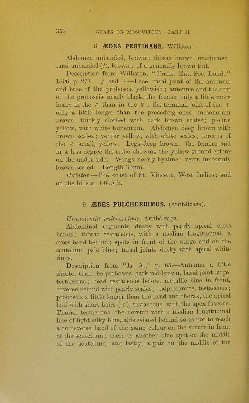 8. iEDES PERTINANS, Williston. Abdomen unbanded, brown ; thorax brown, unadorned tarsi unbanded ('?), brown ; of a generally brown tint. Description from Williston,  Trans. Ent. Soc. Lond., 1896, p. 271. and ? —Face, basal joint of the antennae and base of the proboscis yellowish ; antennae and the rest of the proboscis nearly black, the former only a little more hoary in the S' than in the ? ; the terminal joint of the 3' only a little longer than the preceding ones; mesonotum brown, thickly clothed with dark brown scales; pleurae yellow, with white tomentum. Abdomen deep brown with brown scales ; venter yellow, with white scales; forceps of the 3^ small, yellow. Legs deep brown; the femora and in a less degree the tibiae showing the yellow ground colour on the under side. Wings nearly hyaline ; veins uniformly brown-scaled. Length 3 mm. Habitat.—The coast of St. Vincent, West Indies; and on the hills at 1,000 ft. 9. iEDES PULCHERRIMUS, (Arribalzaga). Tlranotcenia pulcherrima, Arribalzaga. Abdominal segments dusky with pearly apical cross bands ; thorax testaceous, with a median longitudinal, a cross-band behind; spots in front of the wings and on the scutellum pale blue; tarsal joints dusky with apical white rings. Description from L. A., p. 65.—Antennae a little shorter than the proboscis, dark red-brown, basal joint large, testaceous ; head testaceous below, metahic blue in front, covered behind with pearly scales; palpi minute, testaceous; proboscis a little longer than the head and thorax, the apical half with short hairs (<y ), testaceous, with the apex fuscous. Thorax testaceous, the ■ dorsum with a median longitudinal hne of light silky blue, abbreviated behind so as not to reach a transverse band of the same colour on the suture in front of the scutellum; there is another blue spot on the middle of the scutellum, and lastly, a pair on the middle of the
