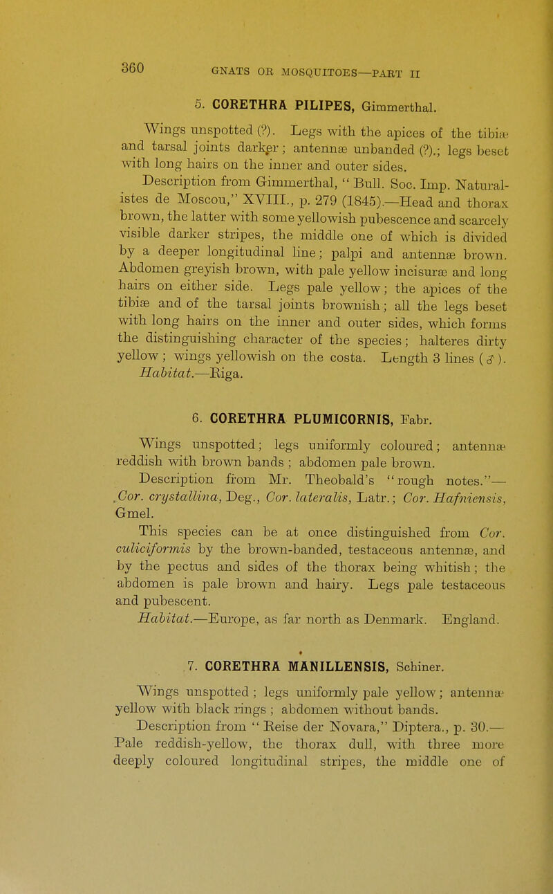 5. CORETHRA PILIPES, Gimmerthal. Wings unspotted (?). Legs with the apices of the tibia- and tarsal joints darkpr; antennae unhanded (?).; legs beset with long hairs on the inner and outer sides. Description from Gimmerthal,  Bull. Soc. Imp. Natural- istes de Moscou, XVIII., p. 279 (1845).—Head and thorax brown, the latter with some yellowish pubescence and scarcely visible darker stripes, the middle one of which is divided by a deeper longitudinal hue; palpi and antennse broM'u. Abdomen greyish brown, with pale yellow incisurae and long hairs on either side. Legs pale yellow; the apices of the tibiae and of the tarsal joints brownish; all the legs beset with long hairs on the inner and outer sides, which forms the distinguishing character of the species; halteres dirty yellow ; wings yellowish on the costa. Length 3 lines (<?). Habitat.—Eiga. 6. CORETHRA PLUMICORNIS, Fabr. Wings unspotted; legs uniformly coloured; antenn* reddish with brown bands ; abdomen pale brown. Description firom Mr. Theobald's rough notes.— ,Cor. crystallina,Deg., Cor. lateralis, Latr.; Cor. Hafniensis, Gmel. This species can be at once distinguished from Cor. culiciformis by the brown-banded, testaceous antennae, and by the pectus and sides of the thorax being whitish; the abdomen is pale brown and hairy. Legs pale testaceous and pubescent. Habitat.—Europe, as far north as Denmark. England. 7. CORETHRA MANILLENSIS, Schiner. Wings unspotted ; legs uniformly pale yellow; antenna^ yellow with black rings ; abdomen without bands. Description from  Eeise der Novara, Diptera., p. 30.— Pale reddish-yellow, the thorax dull, with three more deeply coloured longitudinal stripes, the middle one of