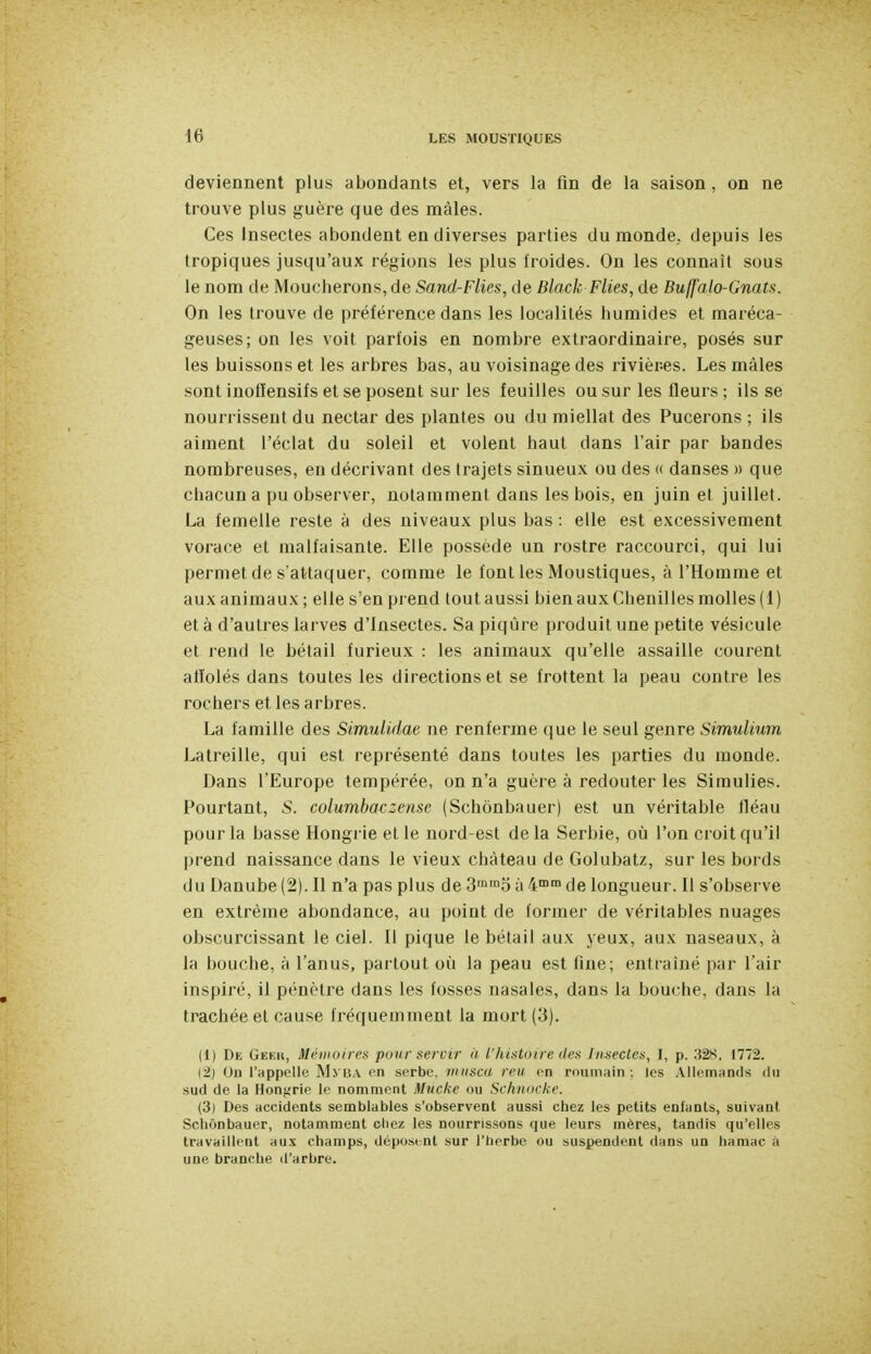 deviennent plus abondants et, vers la fin de la saison, on ne trouve plus guère que des mâles. Ces Insectes abondent en diverses parties du monde, depuis les tropiques jusqu'aux régions les plus froides. On les connaît sous le nom de Moucherons, de Sand-Flies, de Black F lies, de Bu/faio-Gnats. On les trouve de préférence dans les localités humides et maréca- geuses; on les voit parfois en nombre extraordinaire, posés sur les buissons et les arbres bas, au voisinage des rivières. Les mâles sont inofïensifs et se posent sur les feuilles ou sur les fleurs ; ils se nourrissent du nectar des plantes ou du raiellat des Pucerons ; ils aiment l'éclat du soleil et volent haut dans l'air par bandes nombreuses, en décrivant des trajets sinueux ou des « danses » que chacun a pu observer, notamment dans les bois, en juin et juillet. La femelle reste à des niveaux plus bas : elle est excessivement vorace et malfaisante. Elle possède un rostre raccourci, qui lui permet de s'attaquer, comme le font les Moustiques, à l'Homme et aux animaux ; elle s'en prend tout aussi bien aux Chenilles molles (1) et à d'autres larves d'Insectes. Sa piqûre produit une petite vésicule et rend le bétail furieux : les animaux qu'elle assaille courent affolés dans toutes les directions et se frottent la peau contre les rochers et les arbres. La famille des Simulidae ne renferme que le seul genre Simulium Latreille, qui est représenté dans toutes les parties du monde. Dans l'Europe tempérée, on n'a guère à redouter les Sirnulies. Pourtant, S. columbaczensc (Schônbauer) est un véritable fléau pour la basse Hongrie et le nord-est delà Serbie, où l'on croit qu'il prend naissance dans le vieux château de Golubatz, sur les bords du Danube (2). Il n'a pas plus de 3'°o à 4™ de longueur. Il s'observe en extrême abondance, au point de former de véritables nuages obscurcissant le ciel. Il pique le bétail aux yeux, aux naseaux, à la bouche, à l'anus, partout où la peau est fine; entraîné par l'air inspiré, il pénètre dans les fosses nasales, dans la bouche, dans la trachée et cause fréquemment la mort (3). (1) De Geer, Mémoires pour servir ù l'hiatoire des Insectes, I, p. 328. 1772. (2) On l'appelle MvBA en serbe, miisca reu en roumain ; les Allemands du sud de la Hongrie le nomment Mùcke ou Schnocke. (3) Des accidents semblables s'observent aussi chez les petits enfants, suivant Schônbauer, notamment chez les nourrissons que leurs mères, tandis qu'elles travaillent aux champs, déposent sur l'herbe ou suspendent dans un hamac à une branche d'arbre.