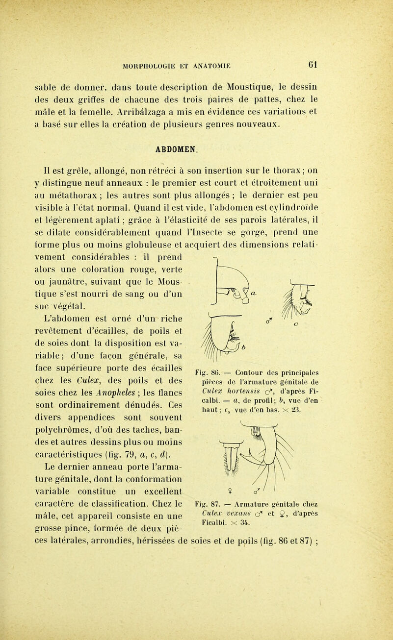 sable de donner, dans toute description de Moustique, le dessin des deux griffes de chacune des trois paires de pattes, chez le mâle et la femelle. Arribâlzaga a mis en évidence ces variations et a basé sur elles la création de plusieurs genres nouveaux. ABDOMEN. Il est grêle, allongé, non rétréci à son insertion sur le thorax ; on y distingue neuf anneaux : le premier est court et étroitement uni au métathorax ; les autres sont plus allongés ; le dernier est peu visible à l'état normal. Quand il est vide, l'abdomen est cylindroide et légèrement aplati ; grâce à l'élasticité de ses parois latérales, il se dilate considérablement quand l'Insecte se gorge, prend une forme plus ou moins globuleuse et acquiert des dimensions relati- vement considérables : il prend alors une coloration rouge, verte ou jaunâtre, suivant que le Mous tique s'est nourri de sang ou d'un suc végétal. L'abdomen est orné d'un riche revêtement d'écaillés, de poils et de soies dont la disposition est va- riable ; d'une façon générale, sa face supérieure porte des écailles chez les Culex, des poils et des soies chez les Anophèles ; les lianes sont ordinairement dénudés. Ces divers appendices sont souvent polychromes, d'où des taches, ban- des et autres dessins plus ou moins caractéristiques (fig. 79, a, c, d). Le dernier anneau porte l'arma- ture génitale, dont la conformation variable constitue un excellent caractère de classification. Chez le mâle, cet appareil consiste en une grosse pince, formée de deux piè- ces latérales, arrondies, hérissées de soies et de poils (fig. 86 et 87) ; Fig. 86. — Contour des principales pièces de l'armature génitale de Culex hortensis cf, d'après Fi- calbi. — a, de profil; b, vue d'en haut ; f, vue d'en bas. x 211 Fig. 87. — Armature génitale chez Culex vexa»!, cf et d'après Ficalbi. x 34.