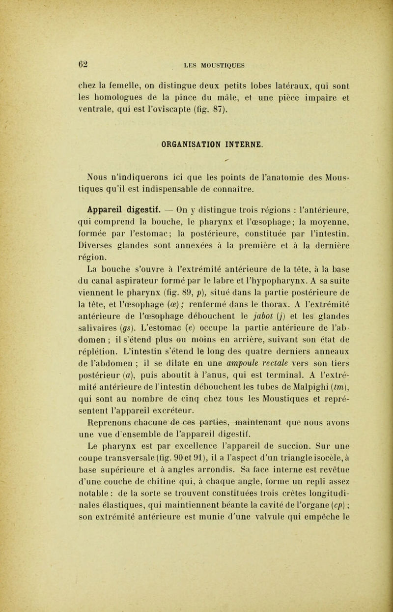 chez la femelle, on dislingue deux petits lobes latéraux, qui sont les homologues de la pince du mâle, et une pièce impaire et ventrale, qui est l'oviscapte (fig. 87). ORGANISATION INTERNE. Nous n'indiquerons ici que les points de l'anatomie des Mous- tiques qu'il est indispensable de connaître. Appareil digestif. — On y distingue trois régions : l'antérieure, qui comprend la bouche, le pharynx et l'œsophage; la moyenne, formée par l'estomac; la postérieure, constituée par l'intestin. Diverses glandes sont annexées à la première et à la dernière région. La bouche s'ouvre à l'extrémité antérieure de la tète, à la base du canal aspirateur formé par le labre et l'hypopharynx. A sa suite viennent le pharynx (fig. 89, p), situé dans la partie postérieure de la tête, et l'œsophage {œ} ; renfermé dans le thorax. A l'extrémité antérieure de l'œsophage débouchent le jabot (j) et les glandes salivaires (gs). L'estomac (e) occupe la partie antérieure de l'ab domen ; il s'étend plus ou moins en arrière, suivant son état de réplétion. L'intestin s'étend le long des quatre derniers anneaux de l'abdomen ; il se dilate en une ampoule rectale vers son tiers postérieur (a), puis aboutit à l'anus, qui est terminal. A l'extré- mité antérieure de l'intestin débouchent les tubes deMalpighi (tm), qui sont au nombre de cinq chez tous les Moustiques et repré- sentent l'appareil excréteur. Reprenons chacune de «es parties, maintenant que nous avons une vue d'ensemble de l'appareil digestif. Le pharynx est par excellence l'appareil de succion. Sur une coupe transversale (fig. 90 et 91), il a l'aspect d'un triangle isocèle, à base supérieure et à angles arrondis. Sa face interne est revêtue d'une couche de chitine qui, à chaque angle, forme un repli assez notable : de la sorte se trouvent constituées trois crêtes longitudi- nales élastiques, qui maintiennent béante la cavité de l'organe (cp) ; son extrémité antérieure est munie d'une valvule qui empêche le