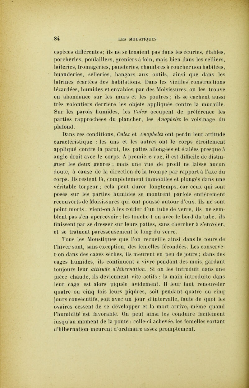 espèces différentes; ils ne se tenaient pas clans les écuries, étables, porcheries, poulaillers, greniers à foin, mais bien dans les celliers, laiteries, fromageries, paneteries, chambres à coucher non habitées, buanderies, selleries, hangars aux outils, ainsi que dans les latrines écartées des habitations. Dans les vieilles constructions lézardées, humides et envahies par des Moisissures, on les trouve en abondance sur les murs et les poutres ; ils se cachent aussi très volontiers derrière les objets appliqués contre la muraille. Sur les parois humides, les Culex occupent de préférence les parties rapprochées du plancher, les Anophèles le voisinage du plafond. Dans ces conditions, Culex et Anophèles ont perdu leur attitude caractéristique : les uns et les autres ont le corps étroitement appliqué contre la paroi, les pattes allongées et étalées presque à angle droit avec le corps. A première vue, il est difficile de distin- guer les deux genres ; mais une vue de profil ne laisse aucun doute, à cause de la direction de la trompe par rapport à l'axe du corps. Ils restent là, complètement immobiles et plongés dans une véritable torpeur; cela peut durer longtemps, car ceux qui sont posés sur les parties humides se montrent parfois entièrement recouverts de Moisissures qui ont poussé autour d'eux. Ils ne sont point morts : vient-on à les coiffer d'un tube de verre, ils ne sem- blent pas s'en apercevoir ; les touche-t-on avec le bord du tube, ils finissent par se dresser sur leurs pattes, sans chercher à s'envoler, et se traînent paresseusement le long du verre. Tous les Moustiques que l'on recueille ainsi dans le cours de l'hiver sont, sans exception, des femelles fécondées. Les conserve- t-on dans des cages sèches, ils meurent en peu de jours ; dans des cages humides, ils continuent à vivre pendant des mois, gardant toujours leur attitude d'hibernation. Si on les introduit dans une pièce chaude, ils deviennent vite actifs : la main introduite dans leur cage est alors piquée avidement. 11 leur faut renouveler quatre ou cinq fois leurs piqûres, soit pendant quatre ou cinq jours consécutifs, soit avec un jour d'intervalle, faute de quoi les ovaires cessent de se développer et la mort arrive, même quand l'humidité est favorable. On peut ainsi les conduire facilement jusqu'au moment de la ponte : celle-ci achevée, les femelles sortant d'hibernation meurent d'ordinaire assez promptement.