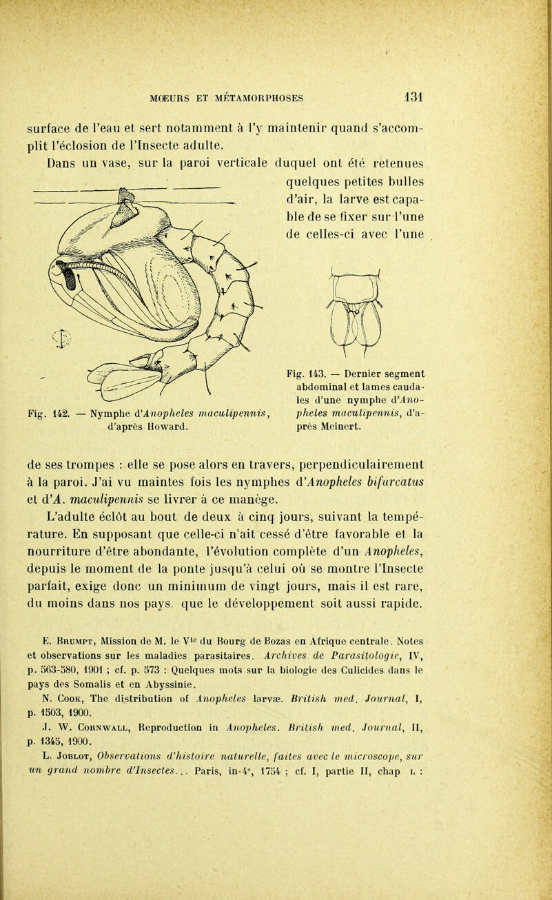 surface de l'eau et sert notamment à l'y maintenir quand s'accom- plit l'éclosion de l'Insecte adulte. Dans un vase, sur la paroi verticale duquel ont été retenues de ses trompes : elle se pose alors en travers, perpendiculairement à la paroi. J'ai vu maintes fois les nymphes d'Anophèles bifurcatus et d'A. maculipentm se livrer à ce manège. L'adulte éclôt au bout de deux à cinq jours, suivant la tempé- rature. En supposant que celle-ci n'ait cessé d'être favorable et la nourriture d'être abondante, l'évolution complète d'un Anophèles, depuis le moment de la ponte jusqu'à celui où se montre l'Insecte parfait, exige donc un minimum de vingt jours, mais il est rare, du moins dans nos pays, que le développement soit aussi rapide. E. Brumpt, Mission de M. le V'^ du Bourg de Bozas en Afrique centrale. Notes et observations sur les maladies parasitaires. Archives de Parasitologie, IV, p. 563-380, 1901 ; cf. p. 573 : Quelques mots sur la biologie des Culicides dans le pays des Somalis et en Abyssinie. N. CooK, The distribution of Anophèles iarvae. British med. Journal, I, p. 1503, 1900. J. W. CoRNWALL, Reproduction in Anophèles. British med. Journal, II, p. 1345, 1900. L. JoBLOT, Observations d'histoire naturelle, faites avec le microscope, sur un grand nombre d'Insectes... Paris, in-4, 1754 ; cf. I, partie II, chap l : quelques petites bulles d'air, la larve est capa- ble de se fixer sur l'une de celles-ci avec l'une Fig. 142. — Nymphe û'Anophèles maculipennis, d'après Howard. Fig. 143. — Dernier segment abdominal et lames cauda- les d'une nymphe d'Ano- pheles maculipennis, d'a- près Meinert.